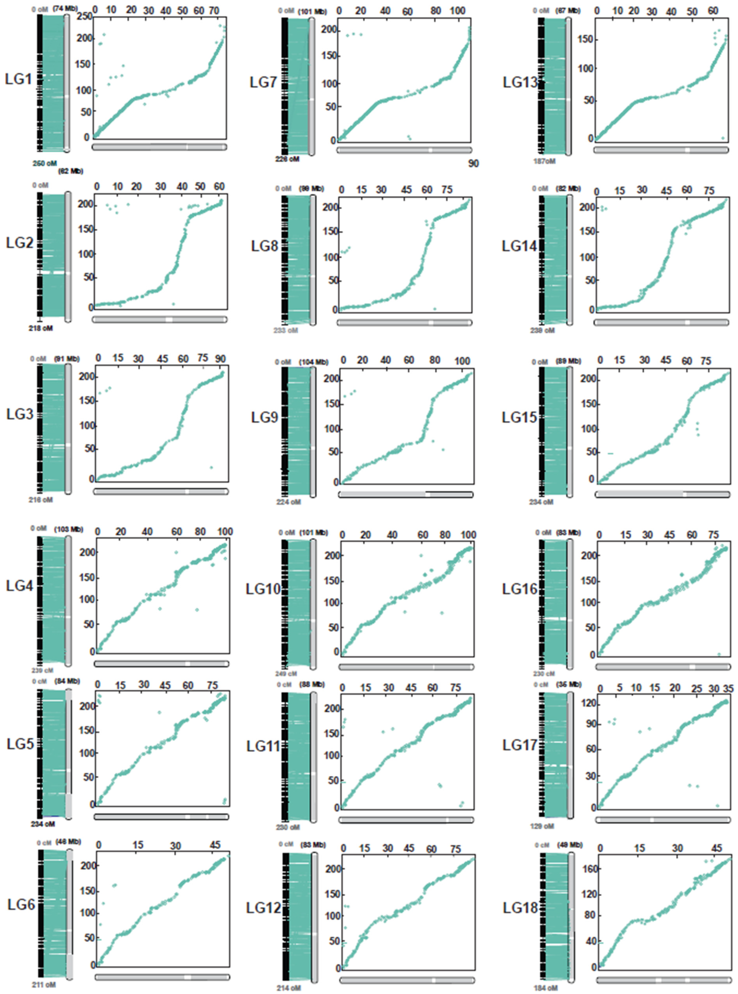 Plants 11 03418 g004