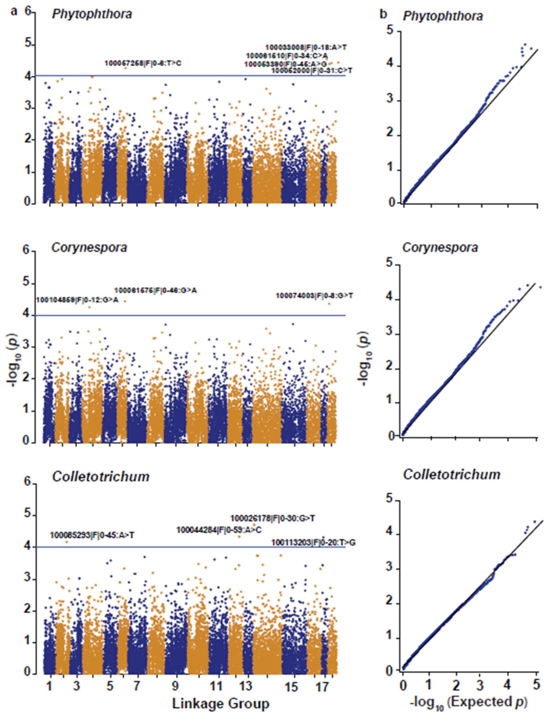 Plants 11 03418 g005