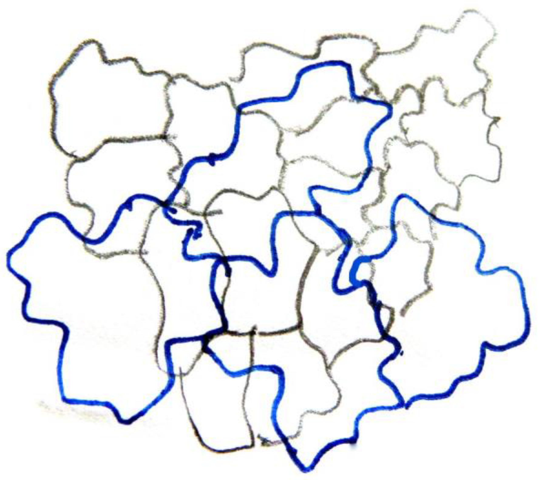 Plants 11 03437 g003