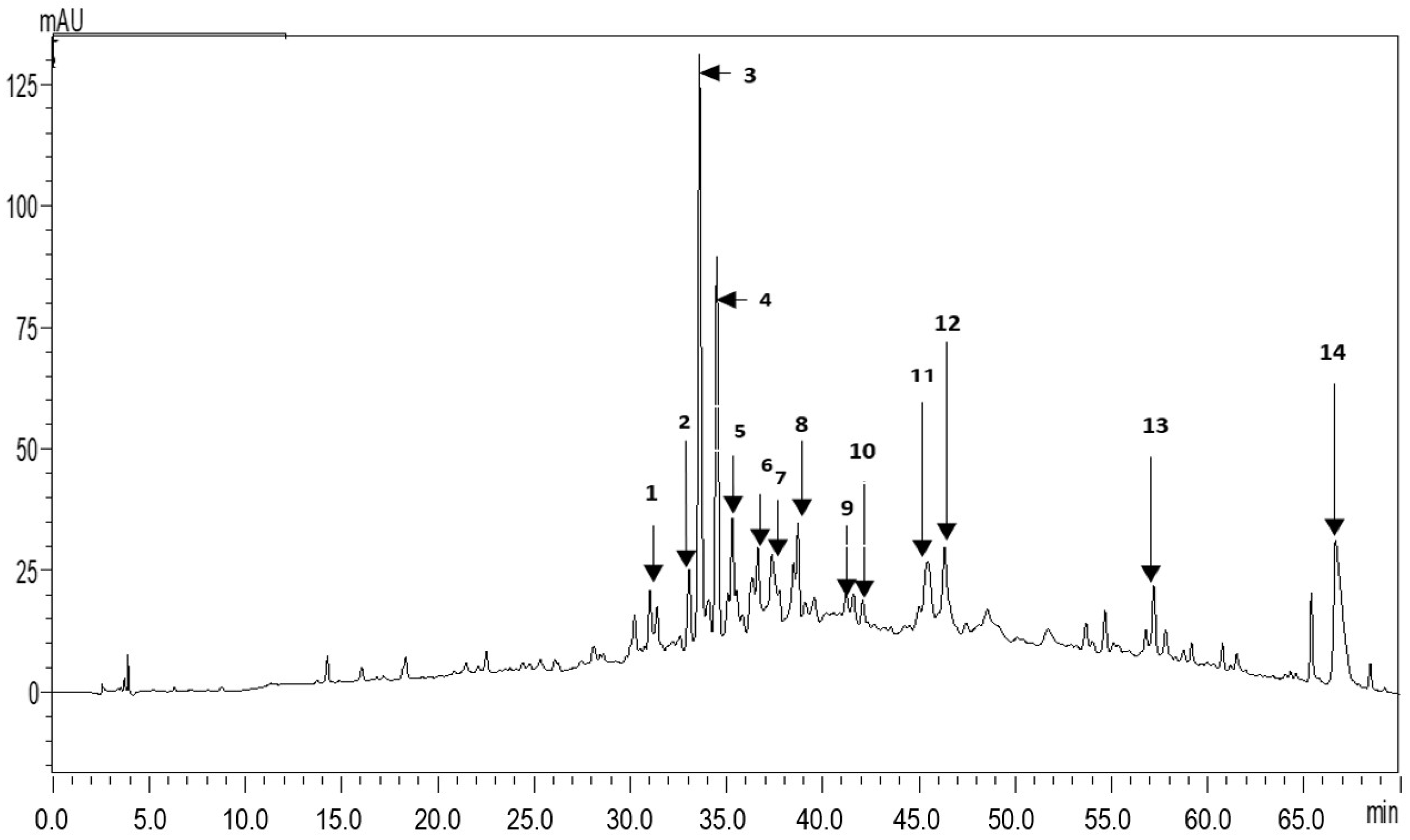 Plants 11 03440 g001