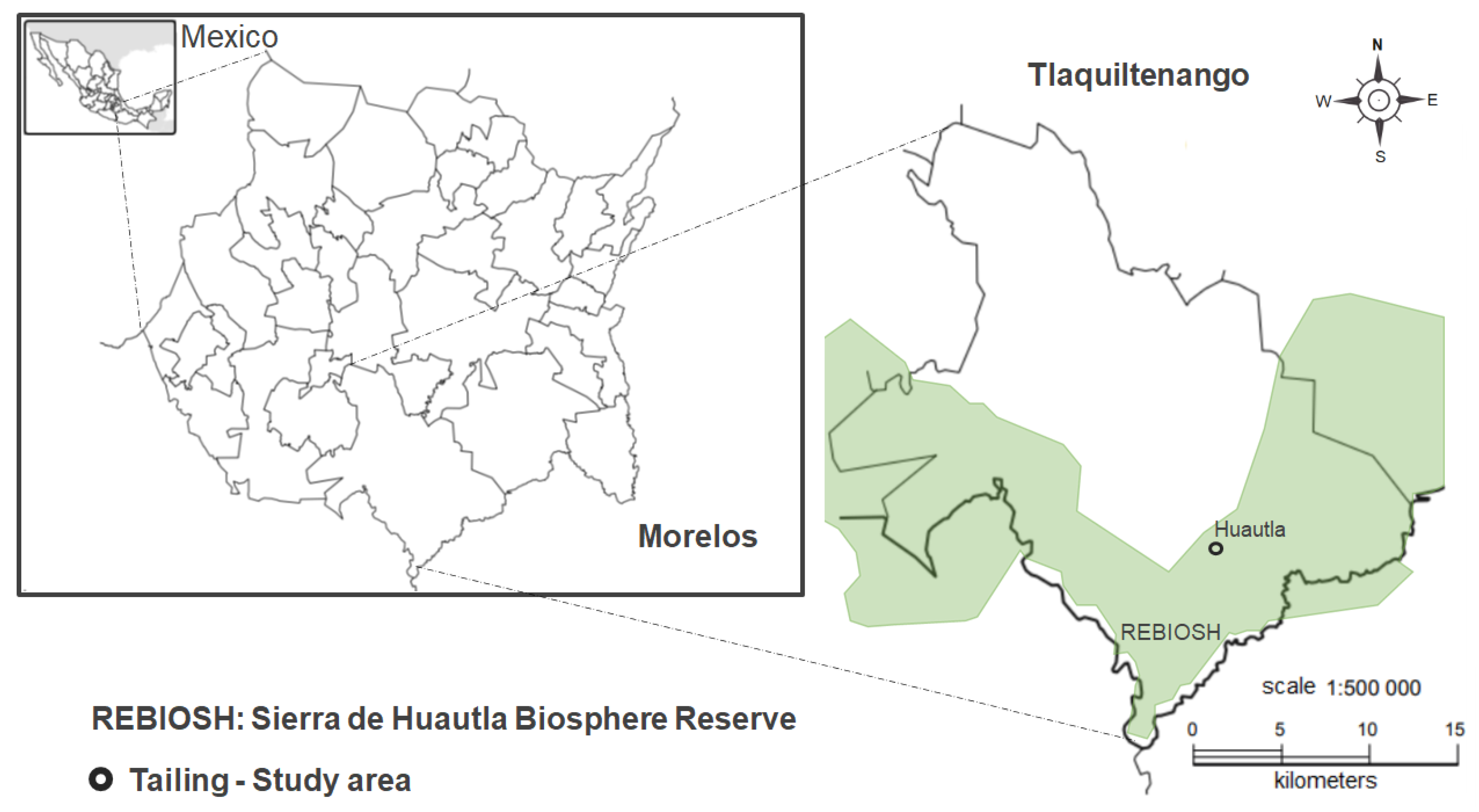 Plants 11 03441 g004