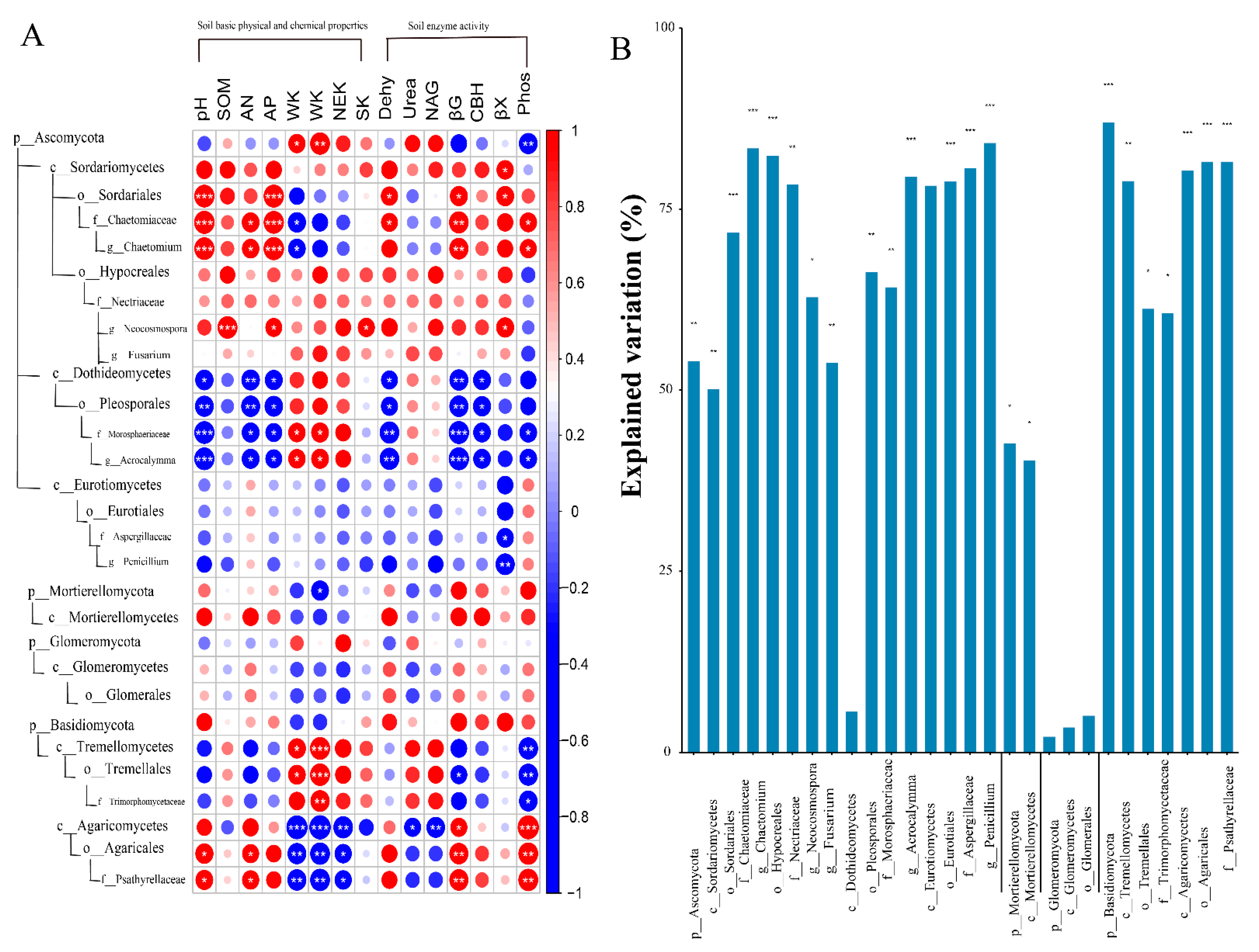 Plants 11 03442 g004 Plants 11 03442 g004