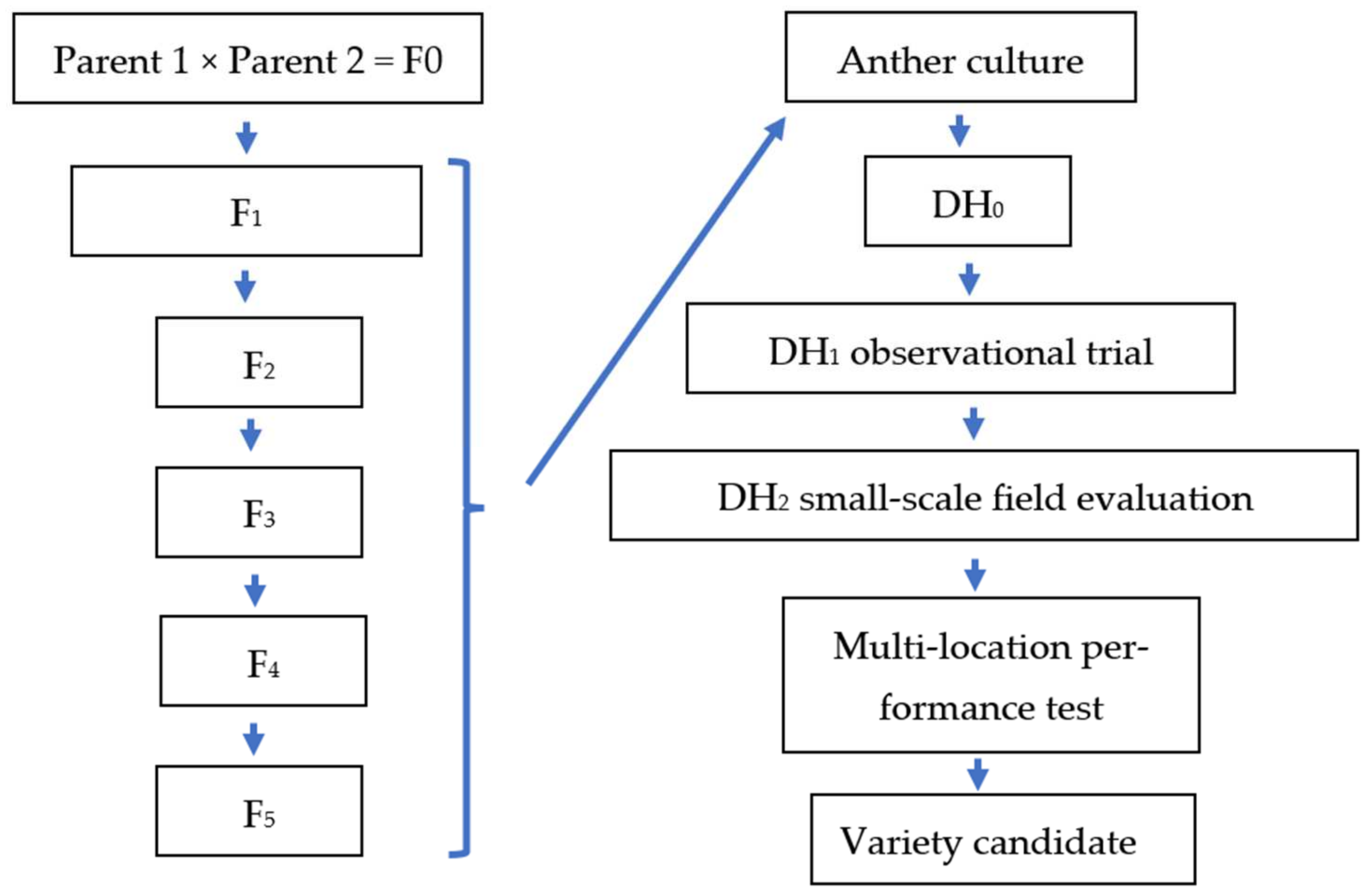 Plants 11 03446 g004