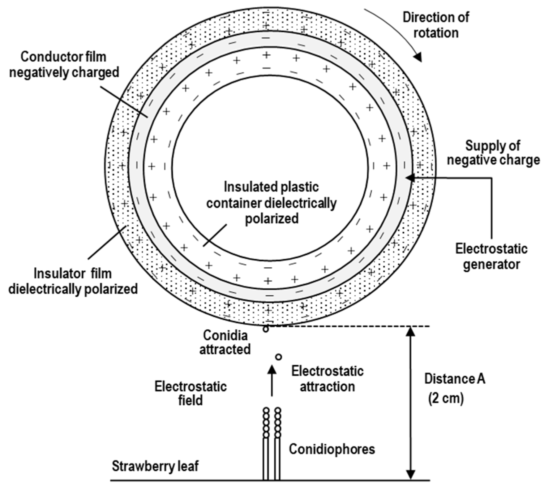 Plants 11 03453 g005