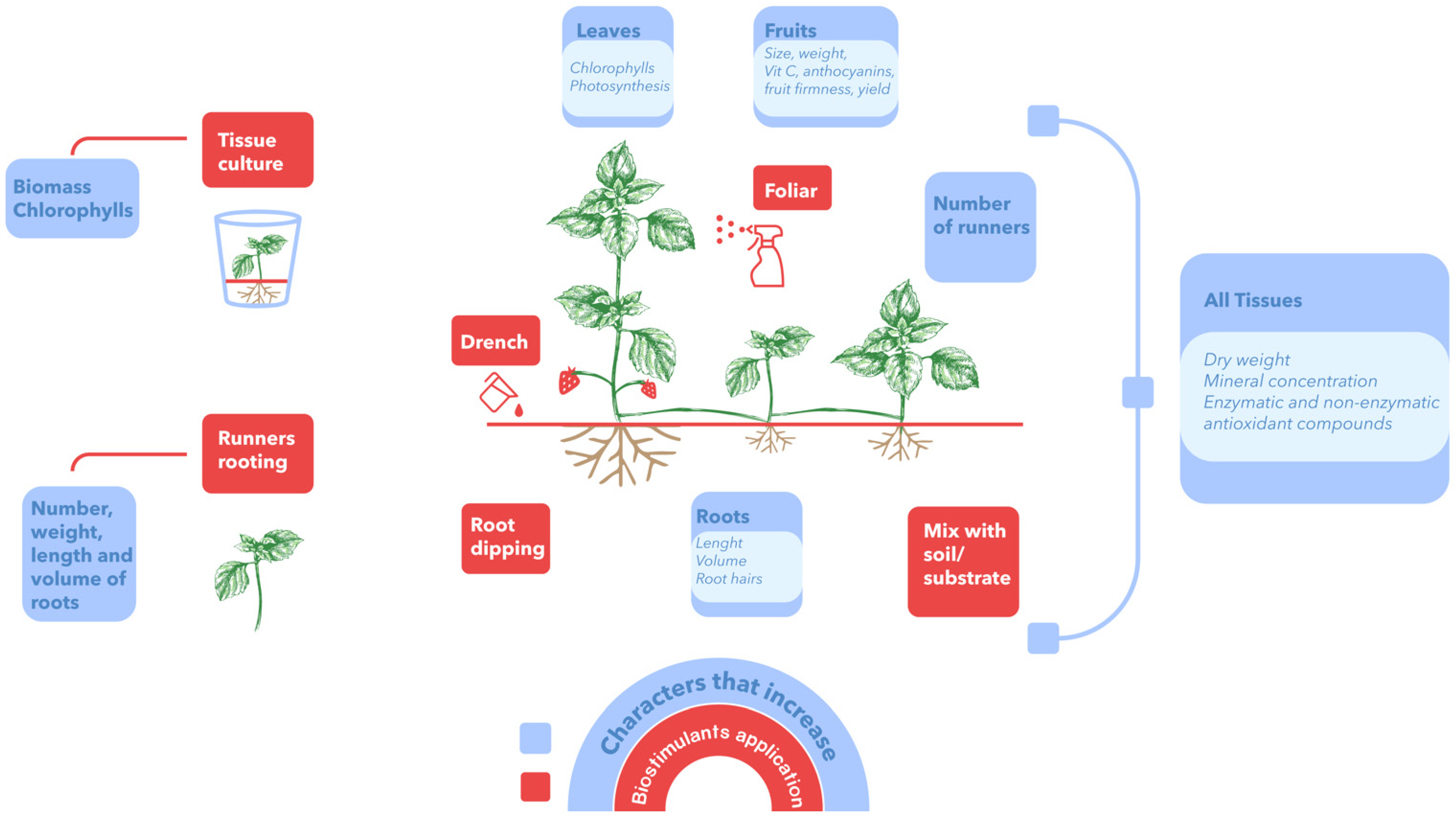 Plants 11 03463 g003