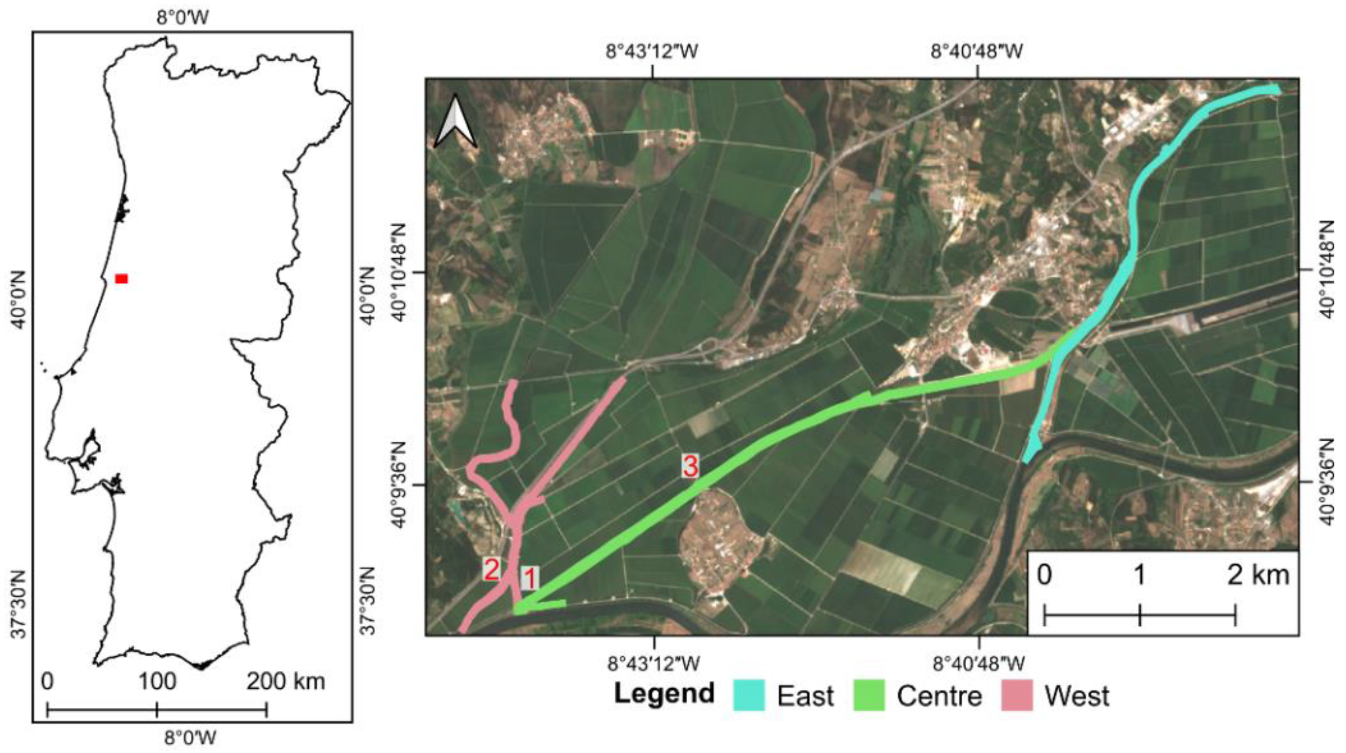 Plants 11 03465 g001