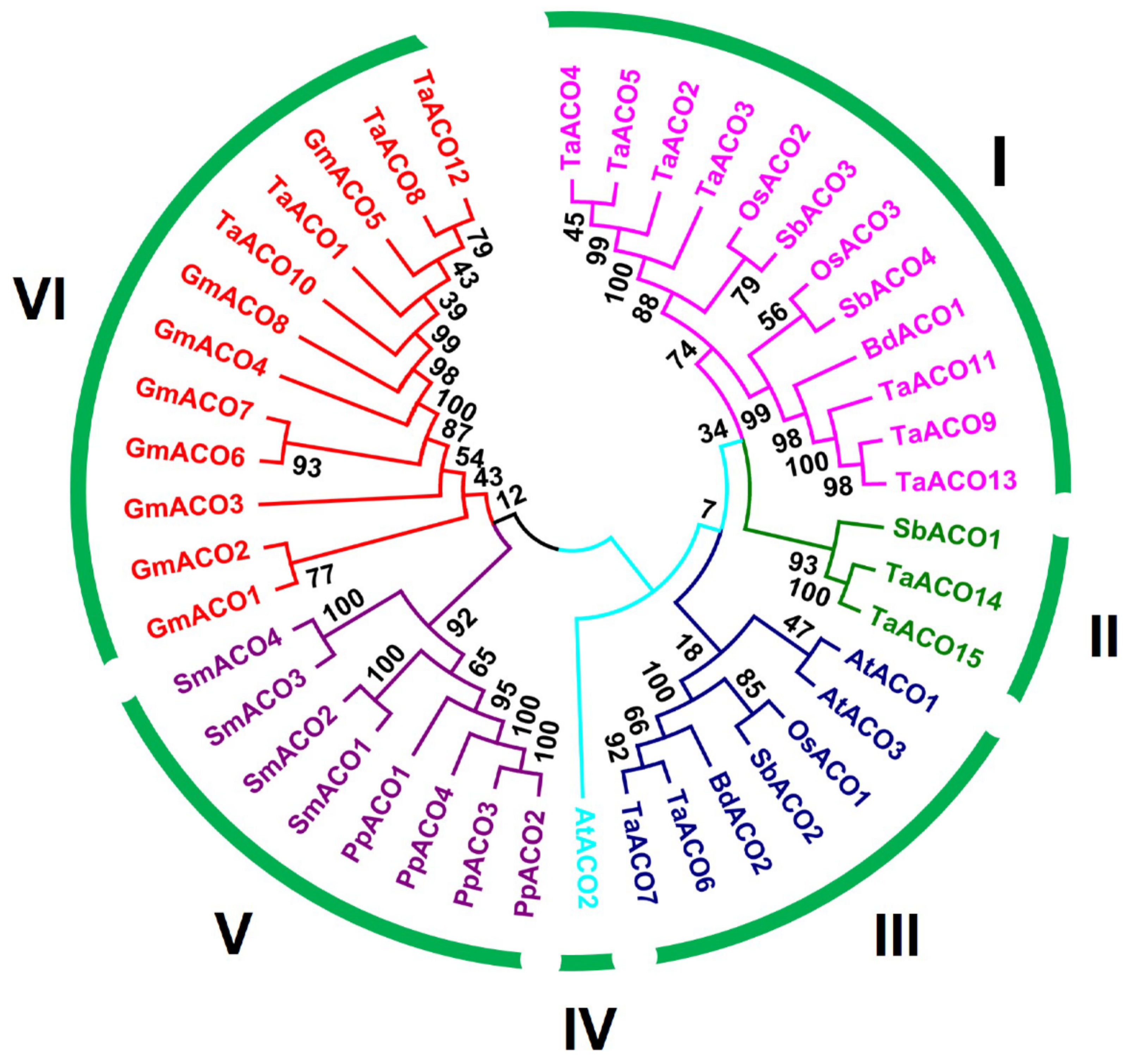 Plants 11 03475 g001