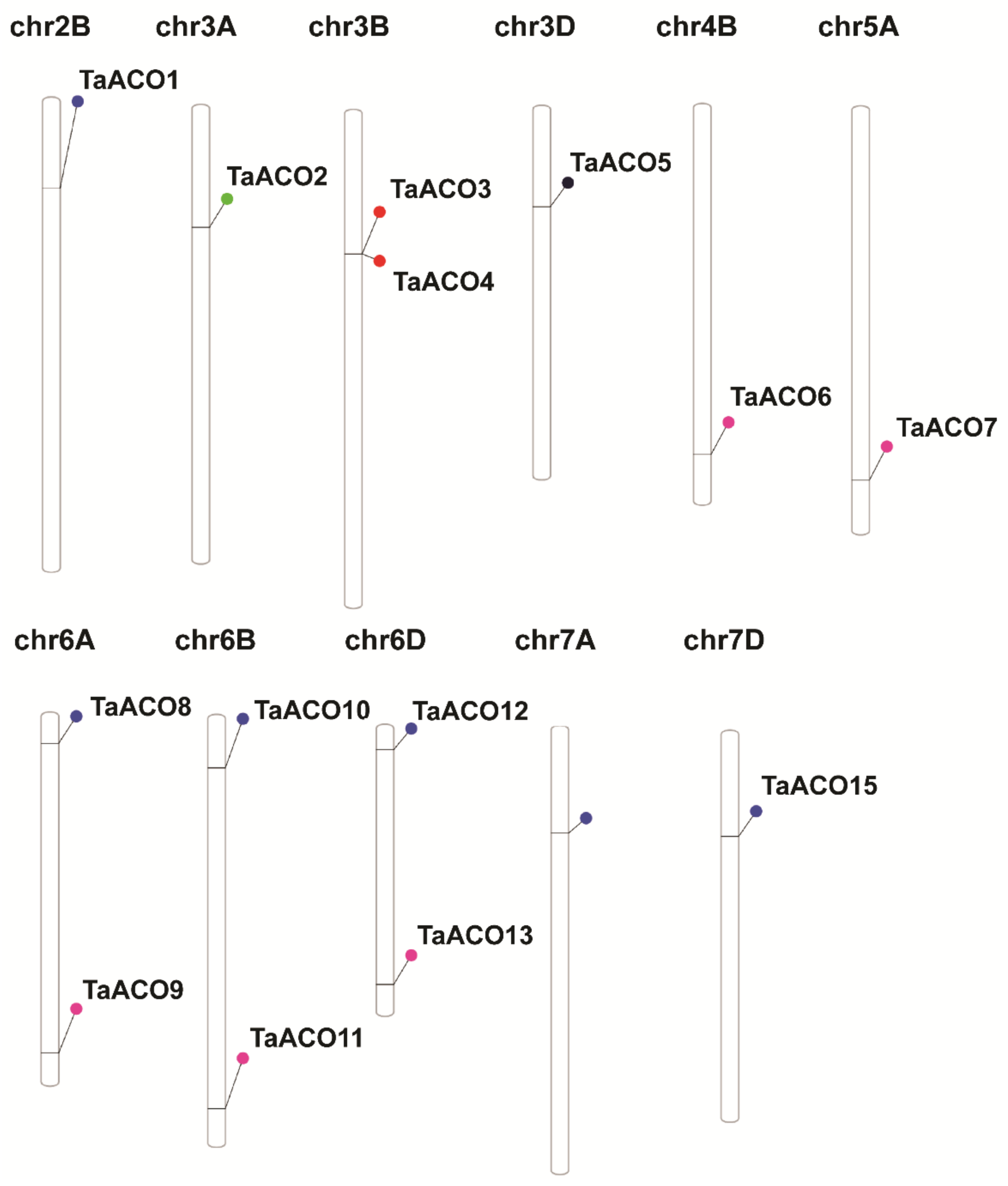 Plants 11 03475 g002