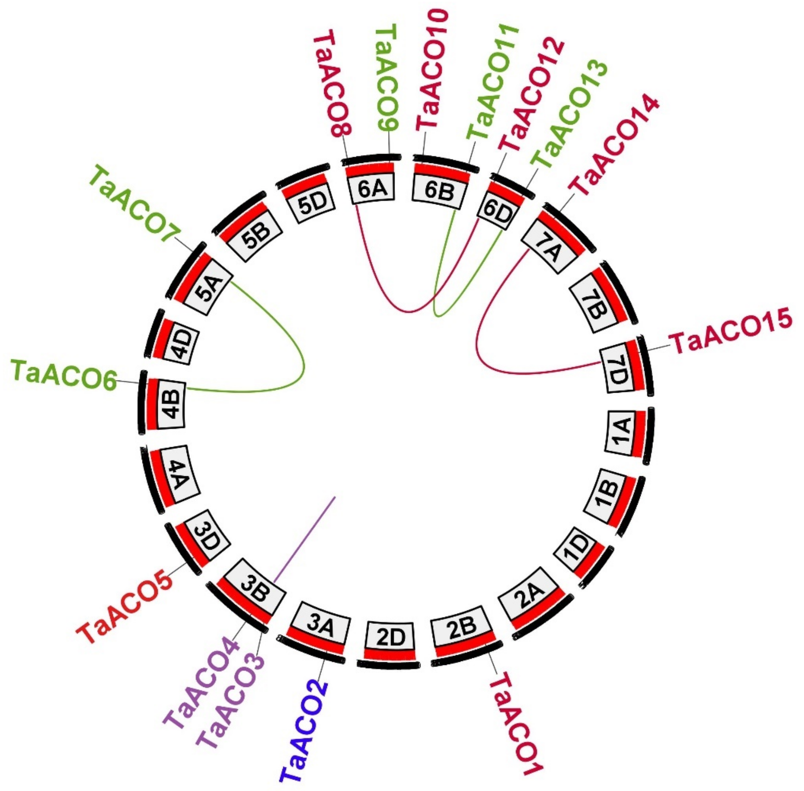 Plants 11 03475 g003