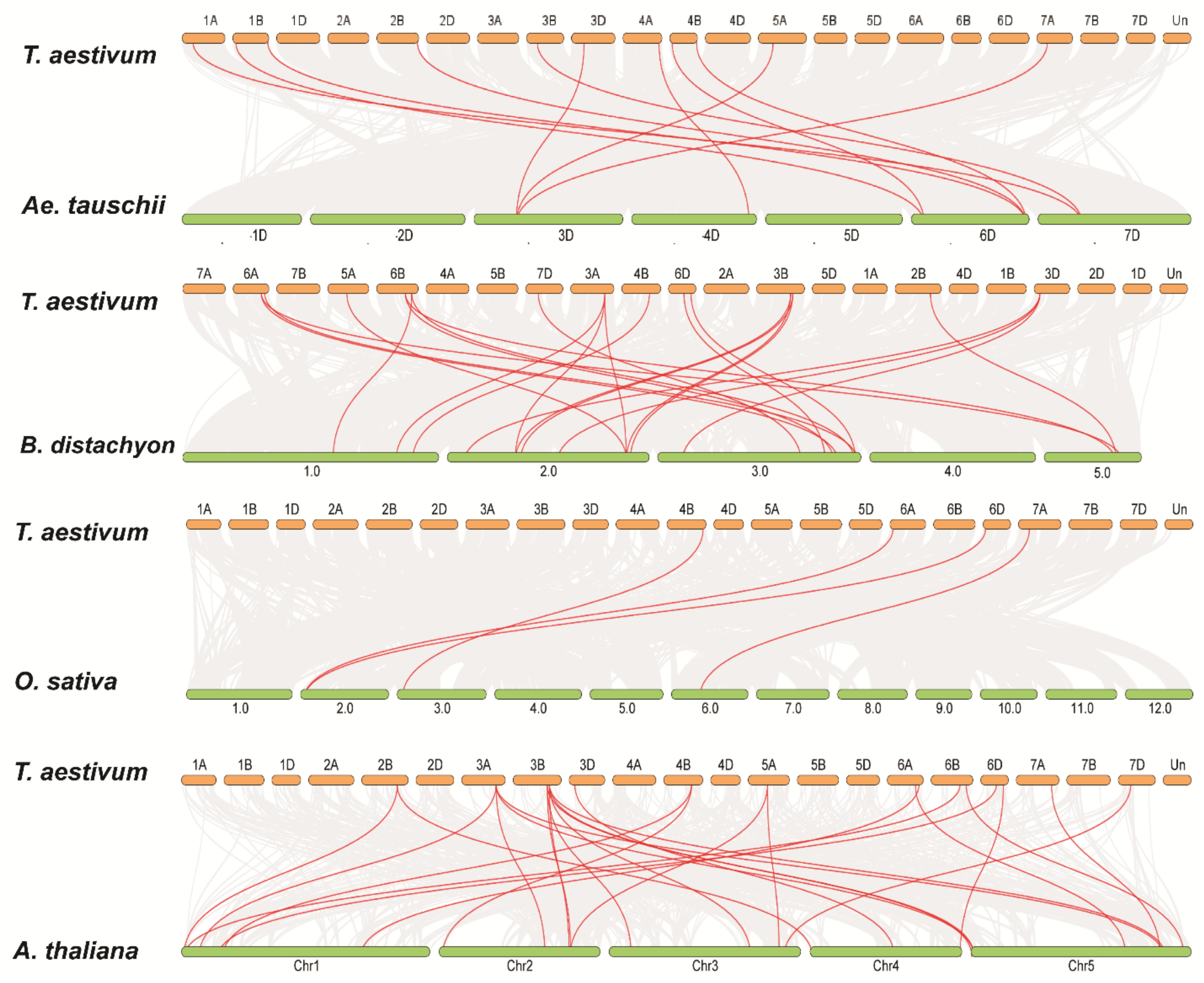 Plants 11 03475 g004