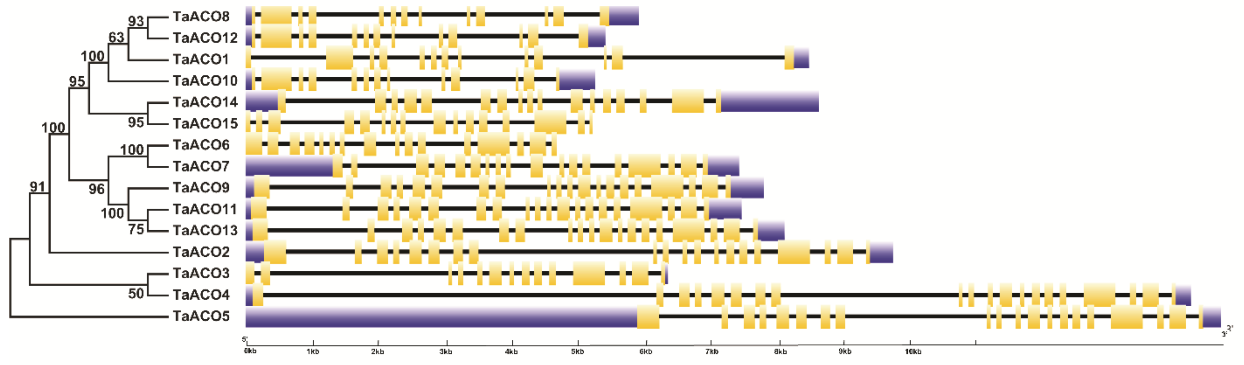 Plants 11 03475 g005