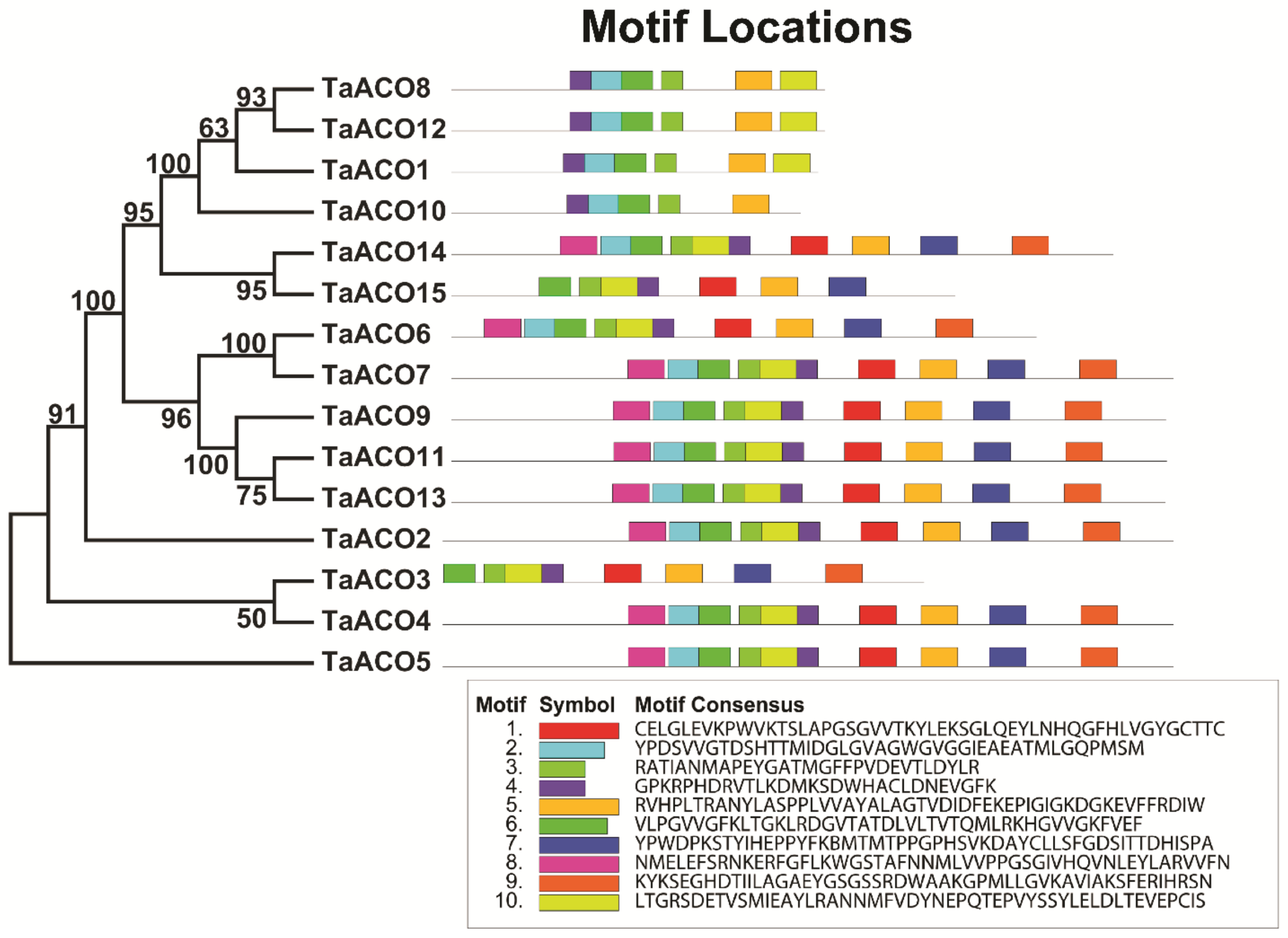 Plants 11 03475 g006