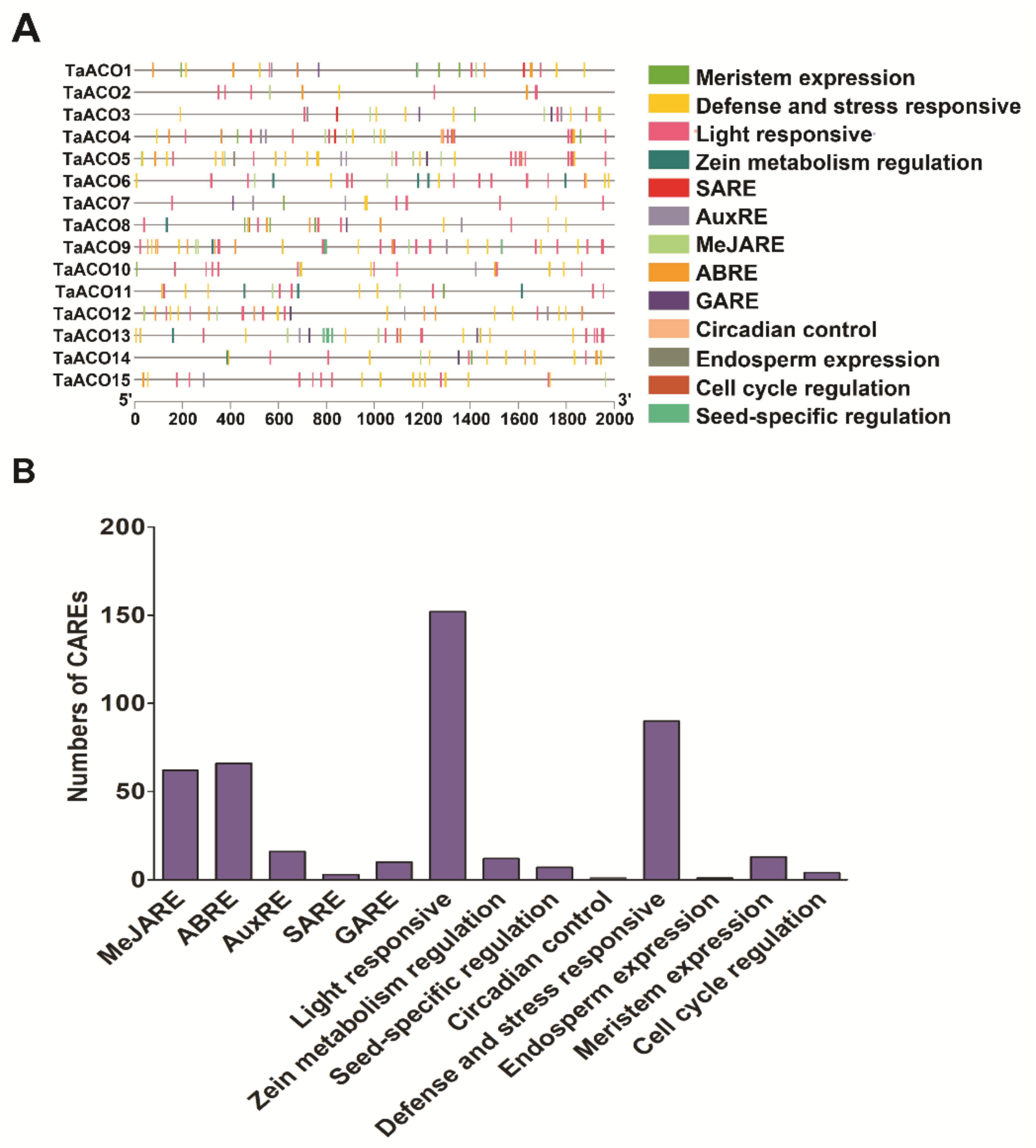 Plants 11 03475 g007