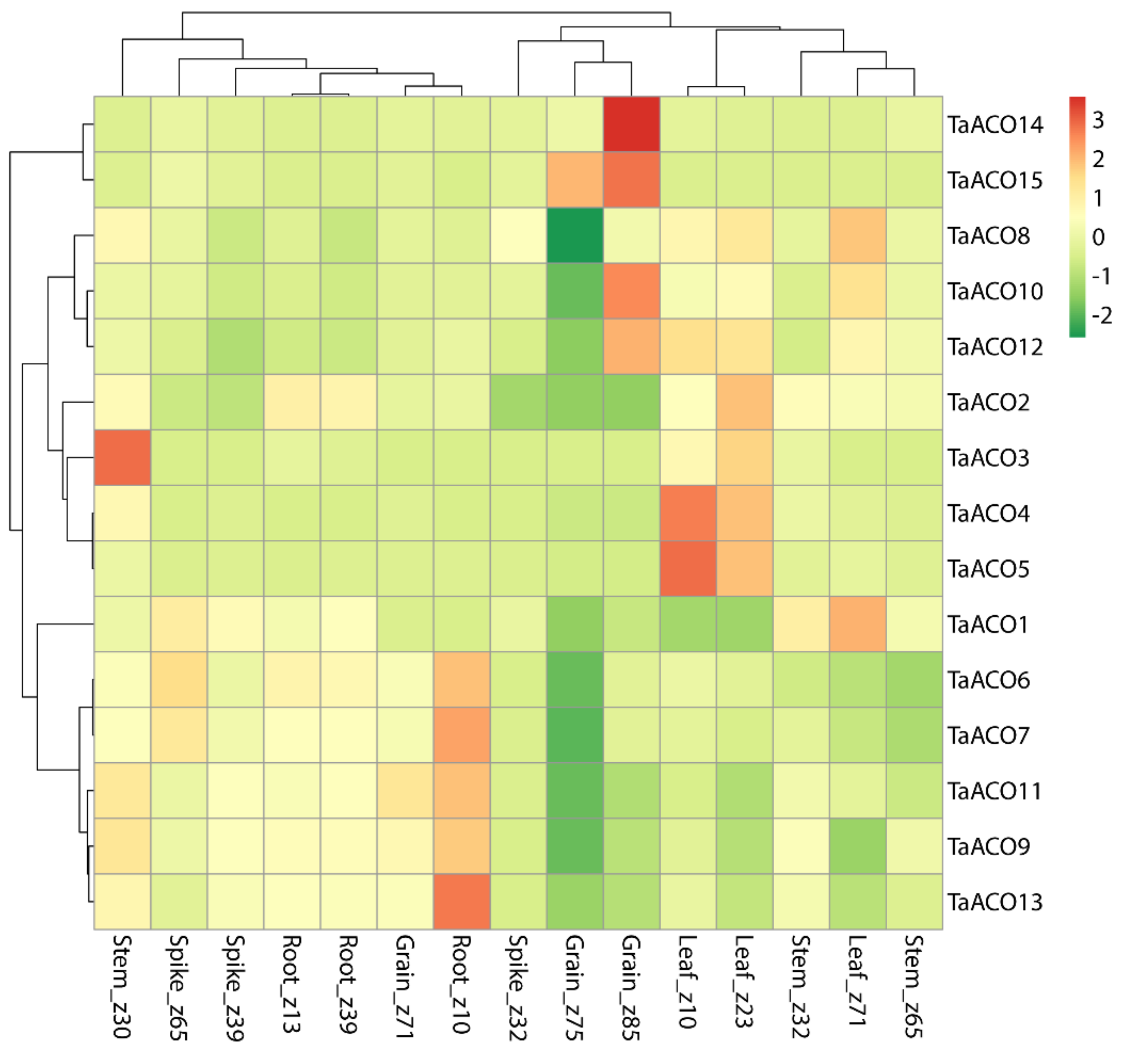 Plants 11 03475 g008