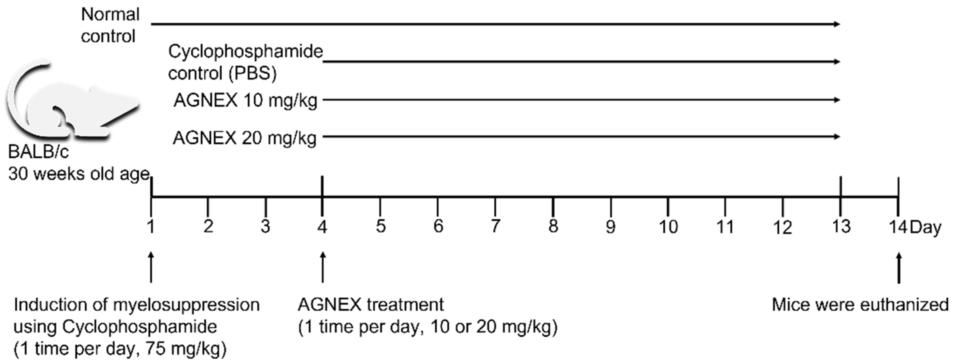 Plants 11 03476 g001