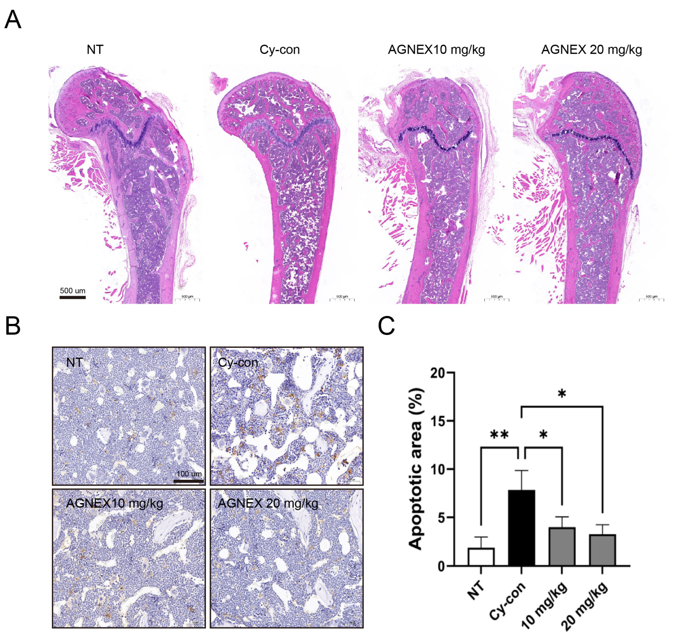 Plants 11 03476 g006