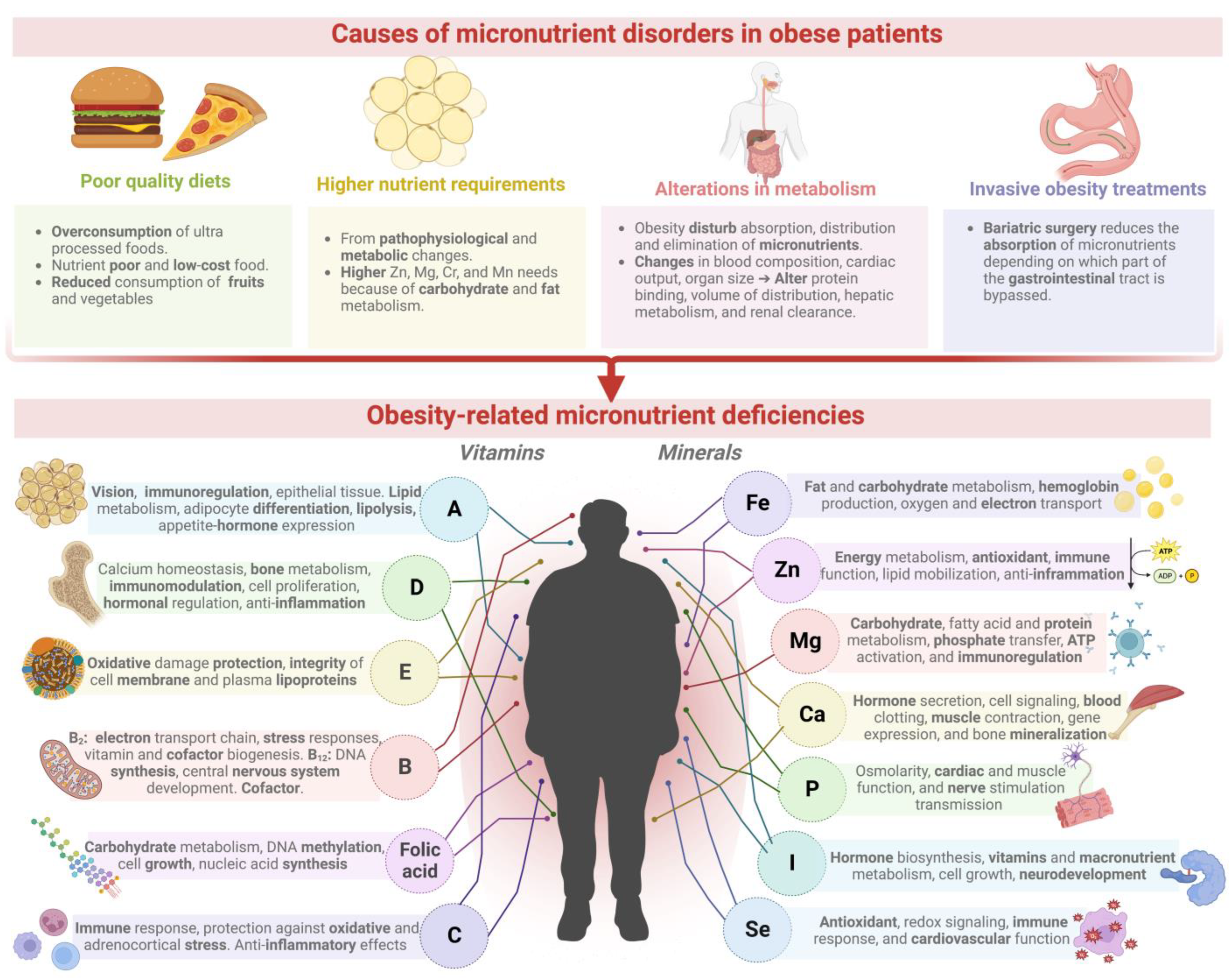 Plants 11 03477 g001 Plants 11 03477 g001