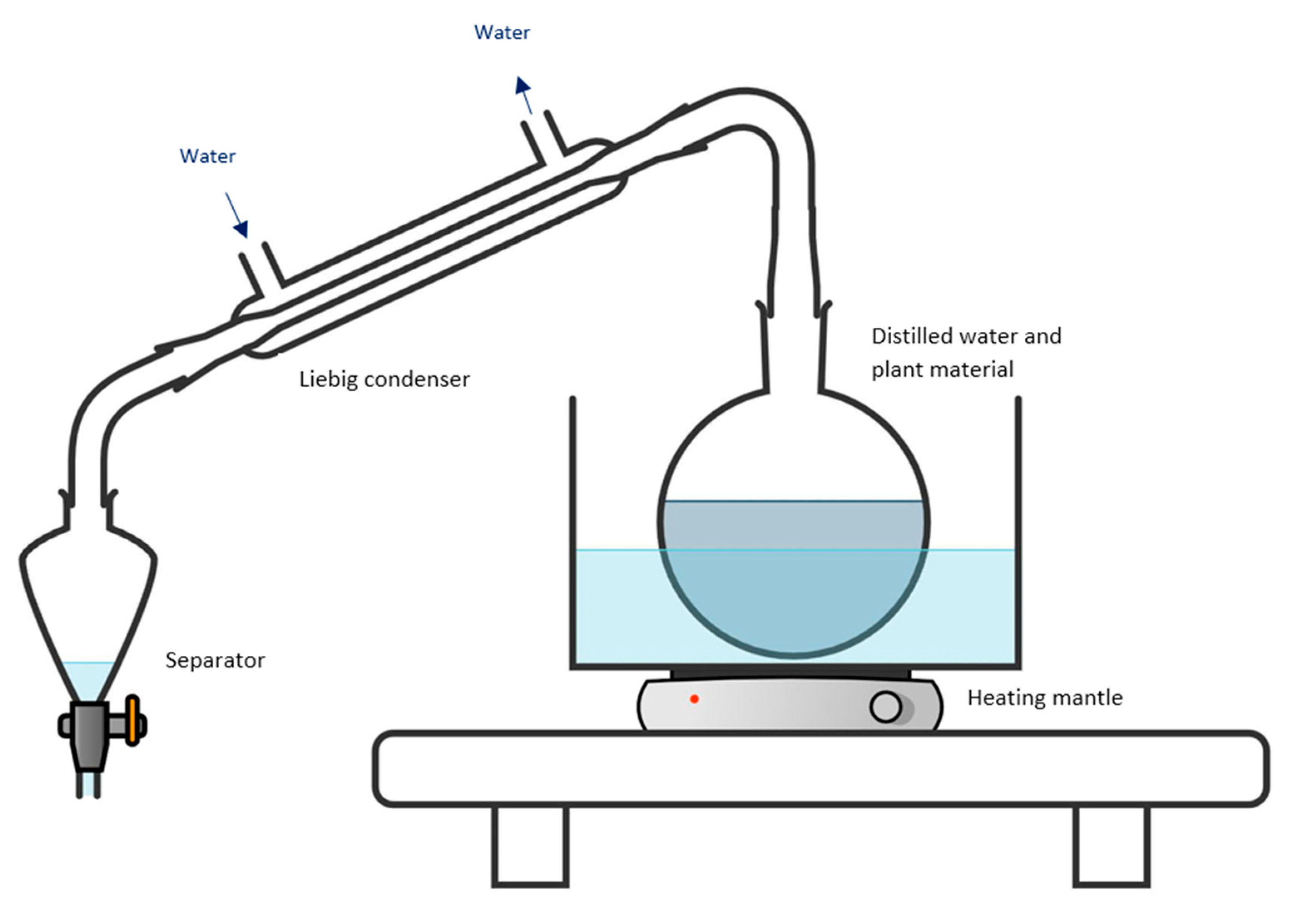 Plants 11 03479 g005