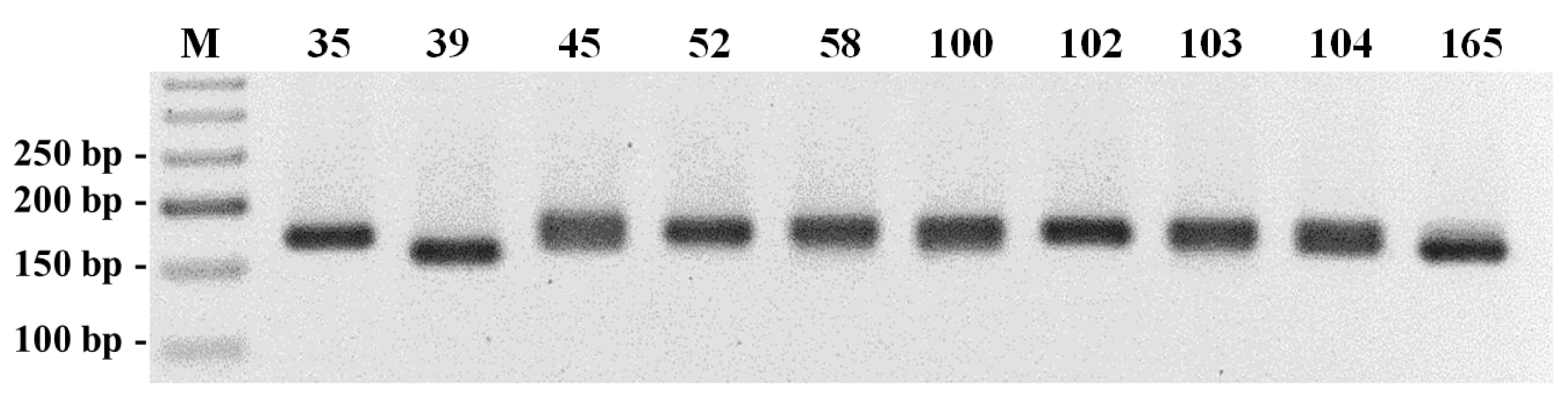 Plants 11 03482 g002