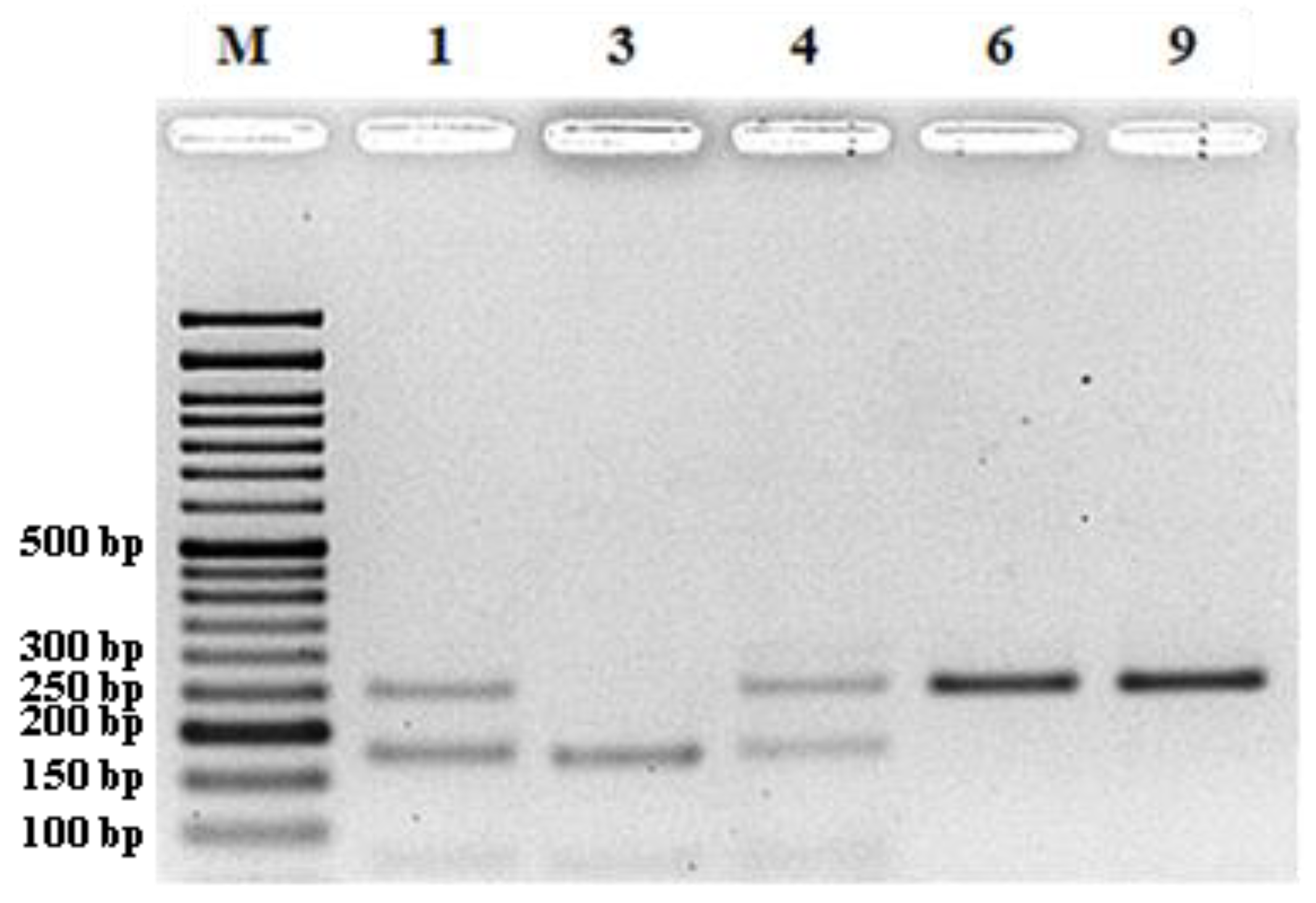 Plants 11 03482 g005