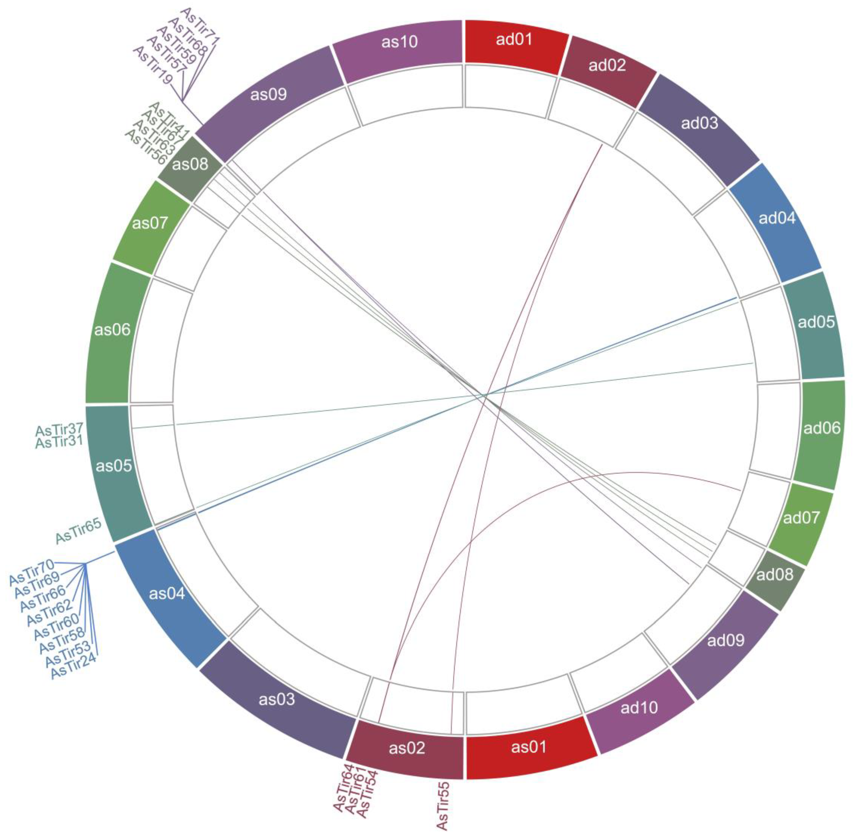 Plants 11 03483 g001