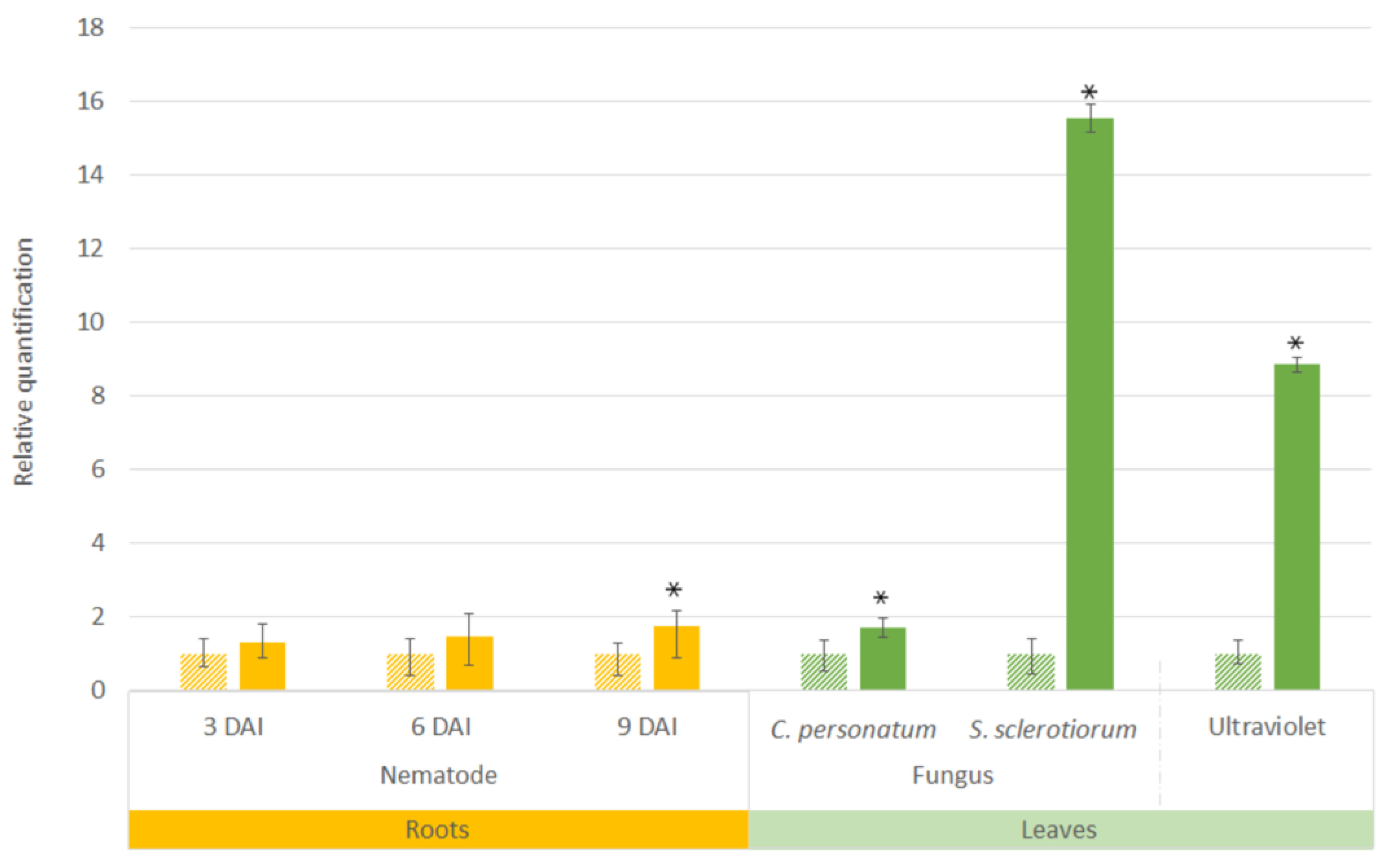 Plants 11 03483 g004