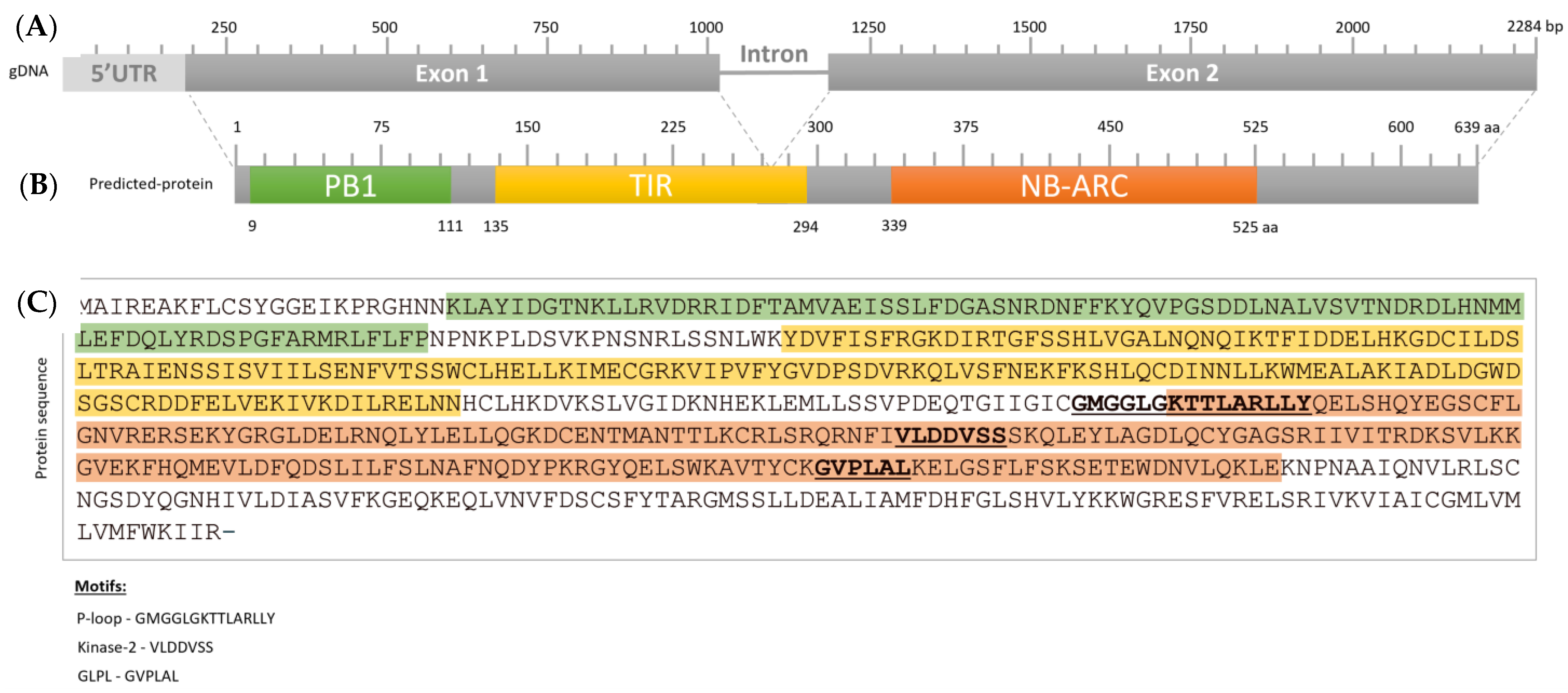 Plants 11 03483 g005