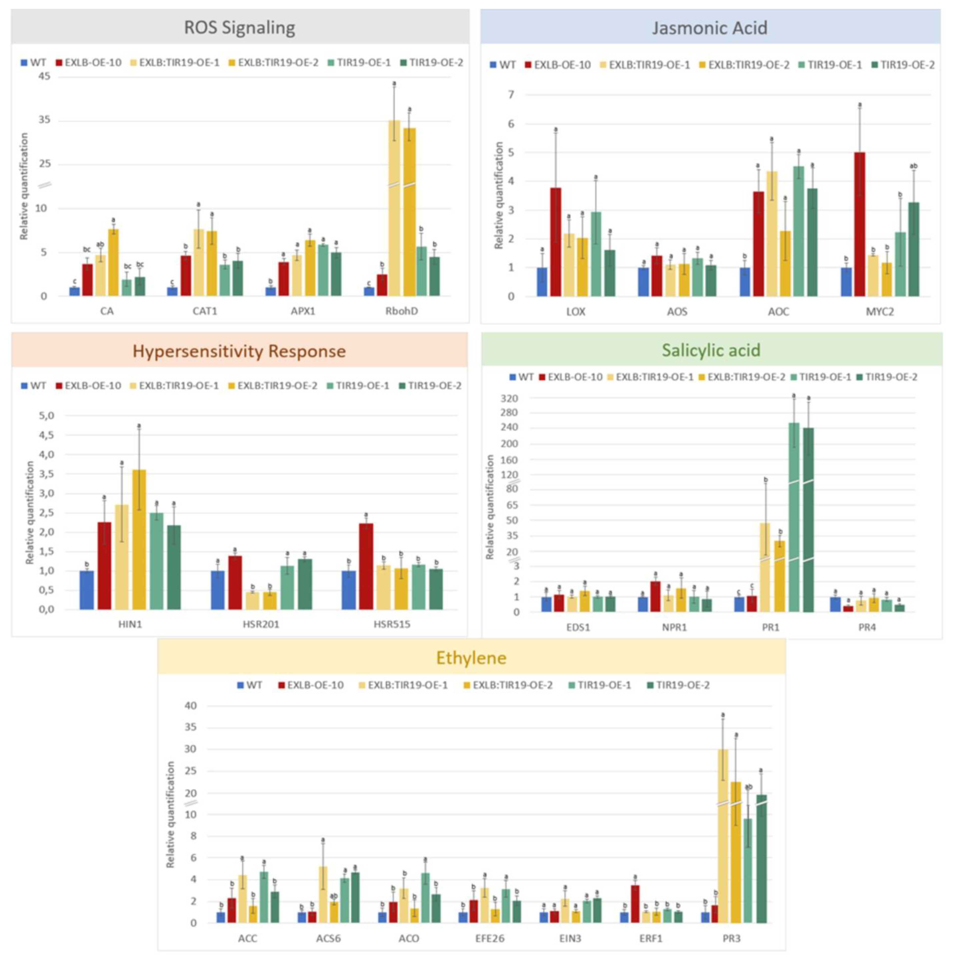 Plants 11 03483 g007