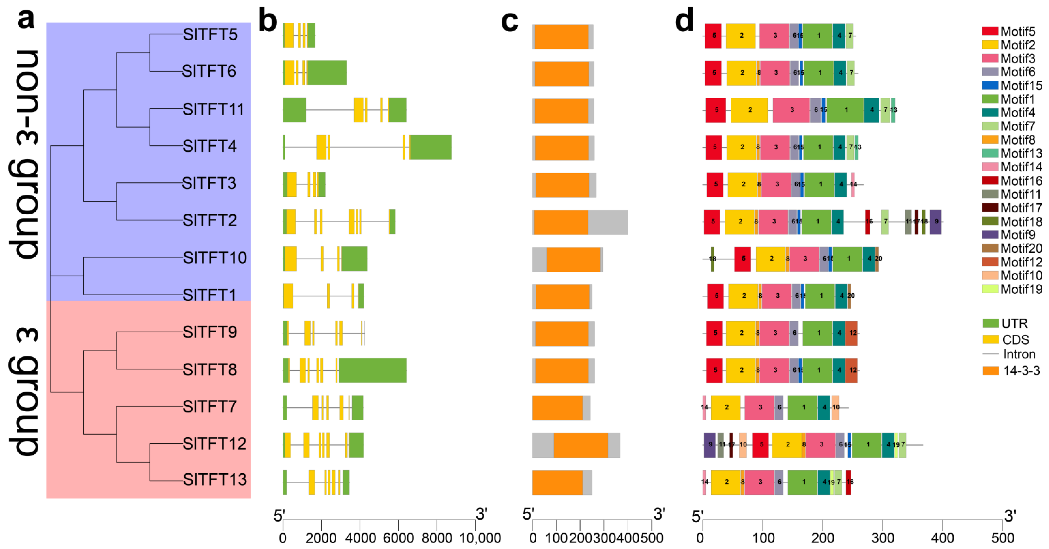Plants 11 03491 g002