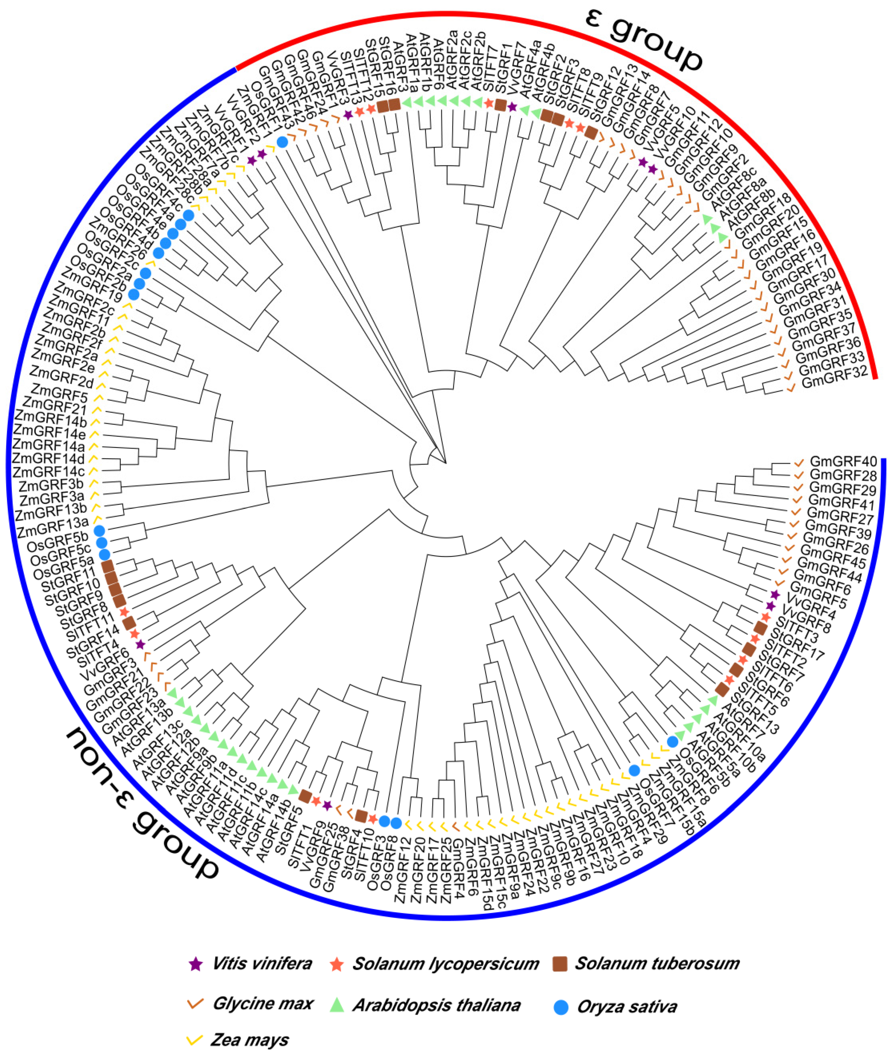 Plants 11 03491 g003
