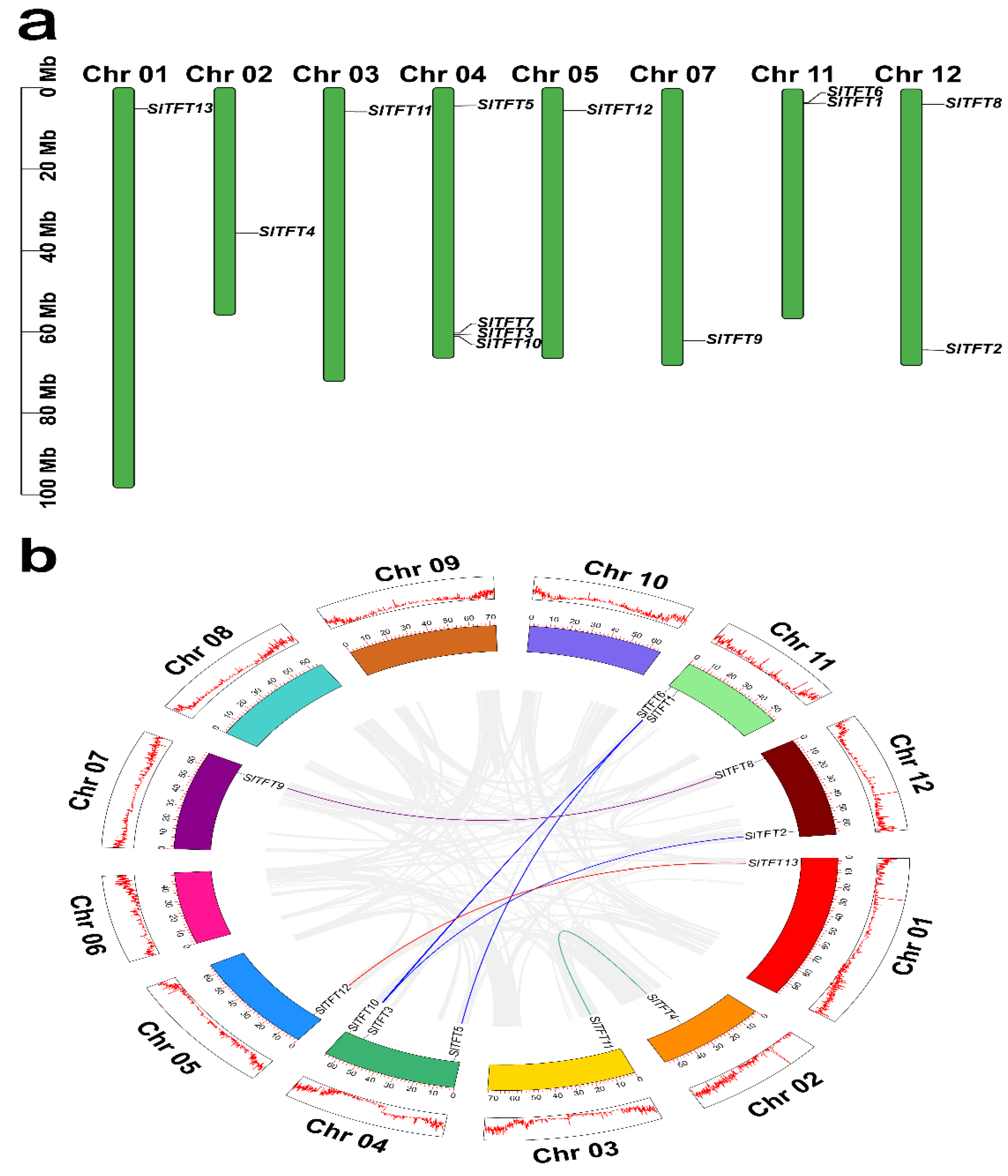 Plants 11 03491 g004
