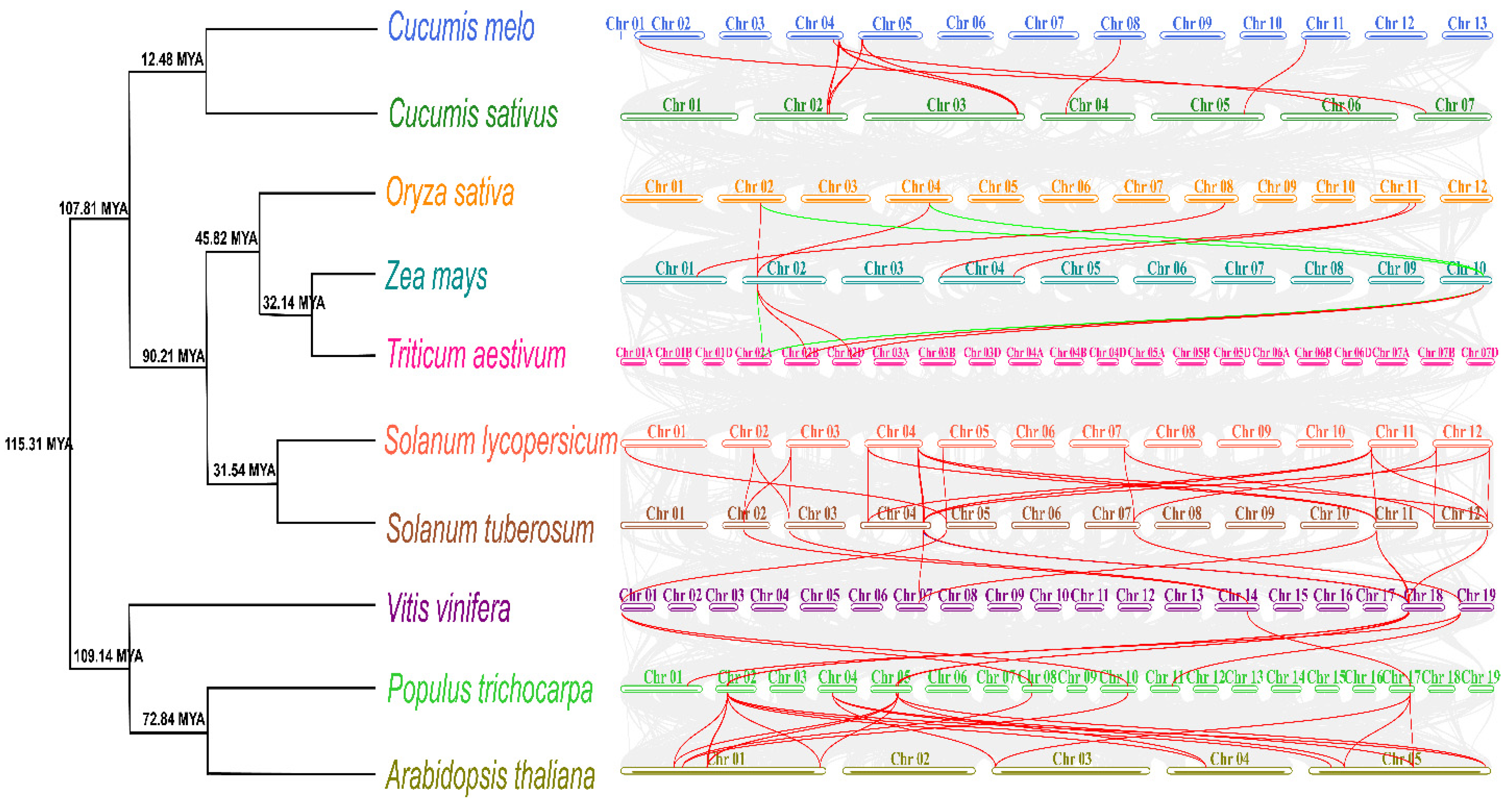 Plants 11 03491 g005