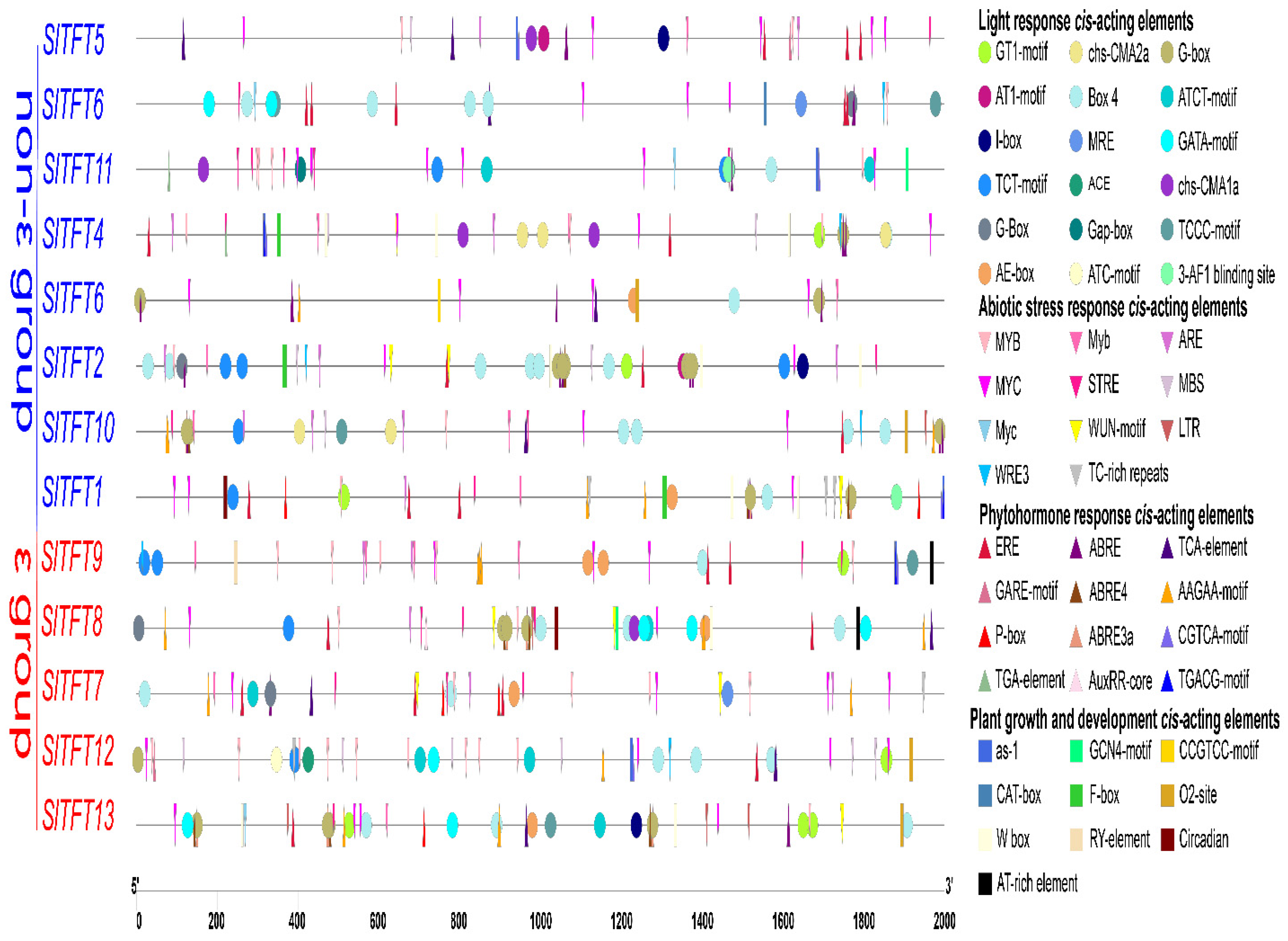 Plants 11 03491 g006