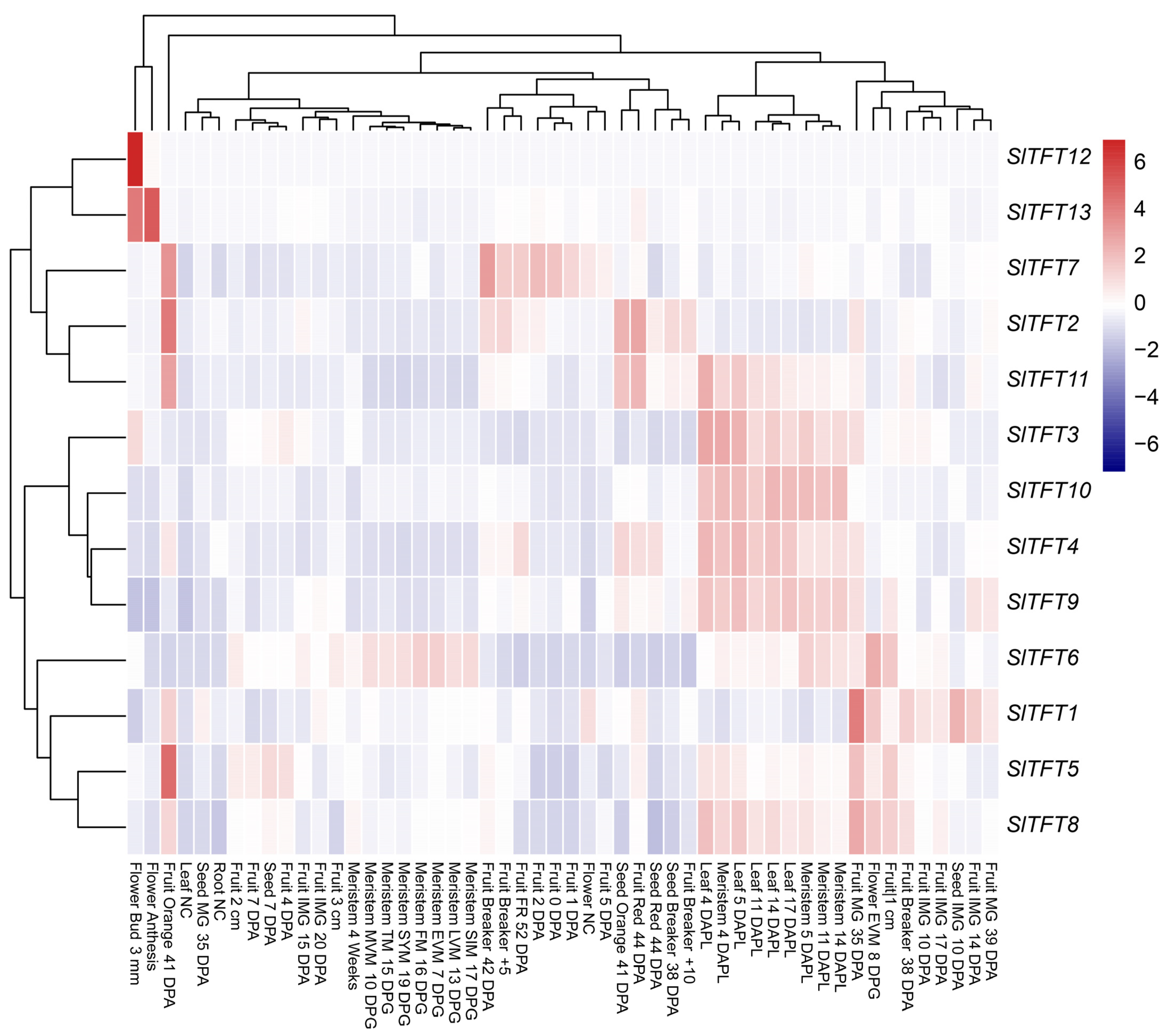 Plants 11 03491 g007
