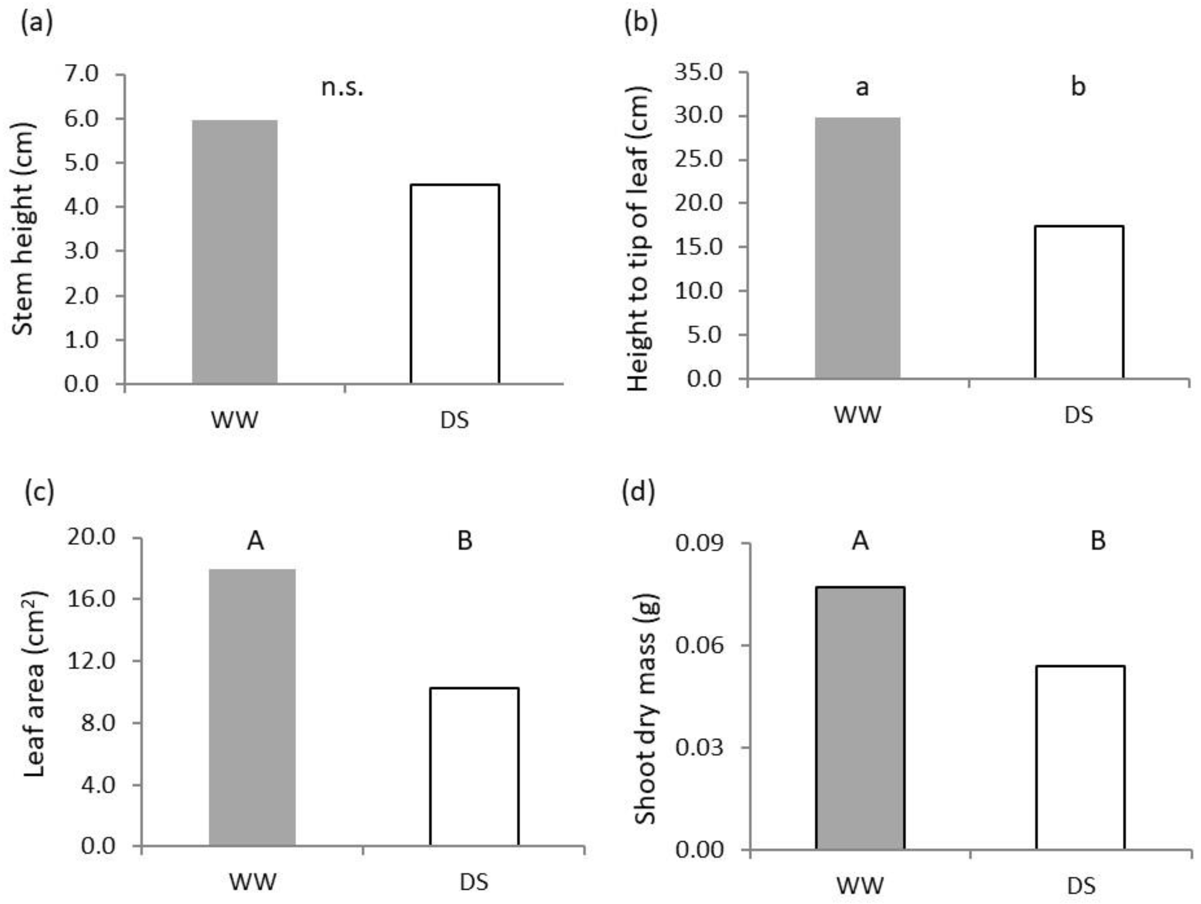 Plants 11 03492 g001