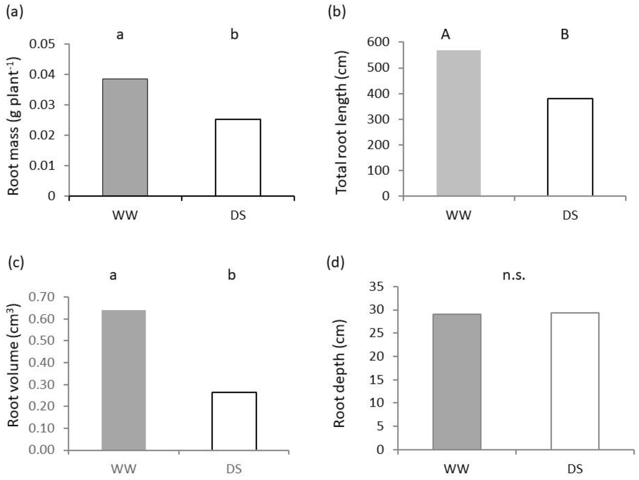 Plants 11 03492 g003