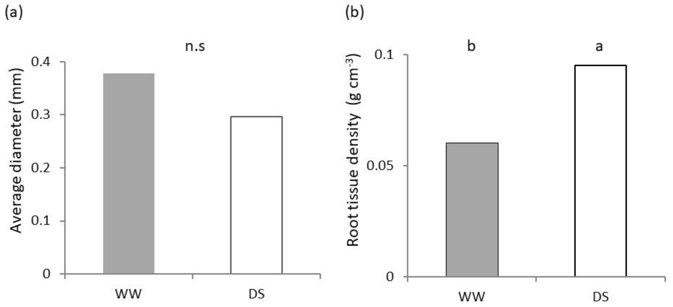 Plants 11 03492 g004