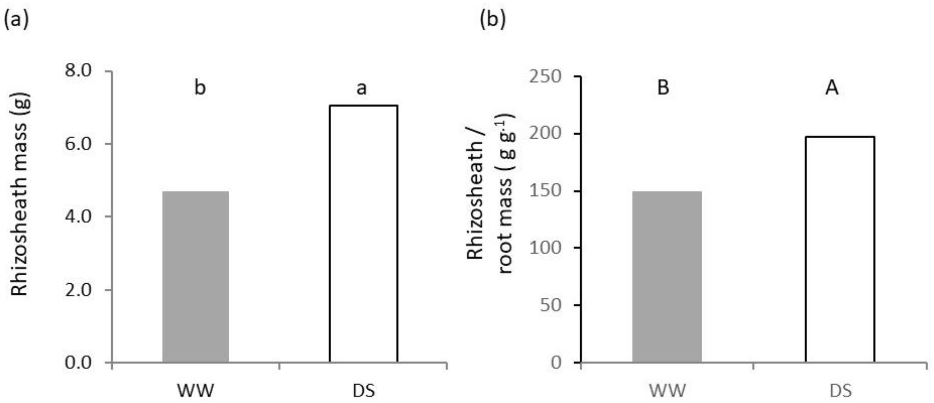 Plants 11 03492 g005