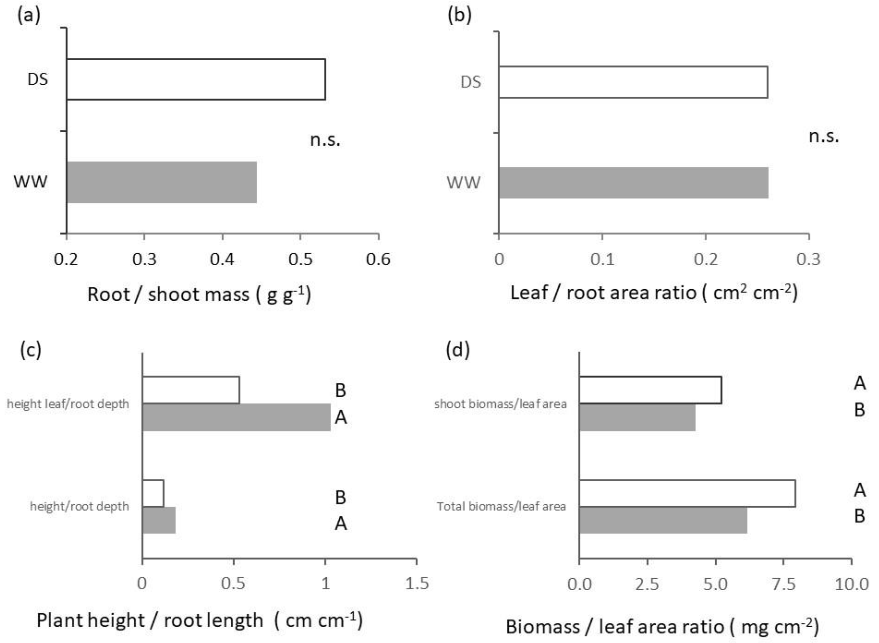 Plants 11 03492 g006