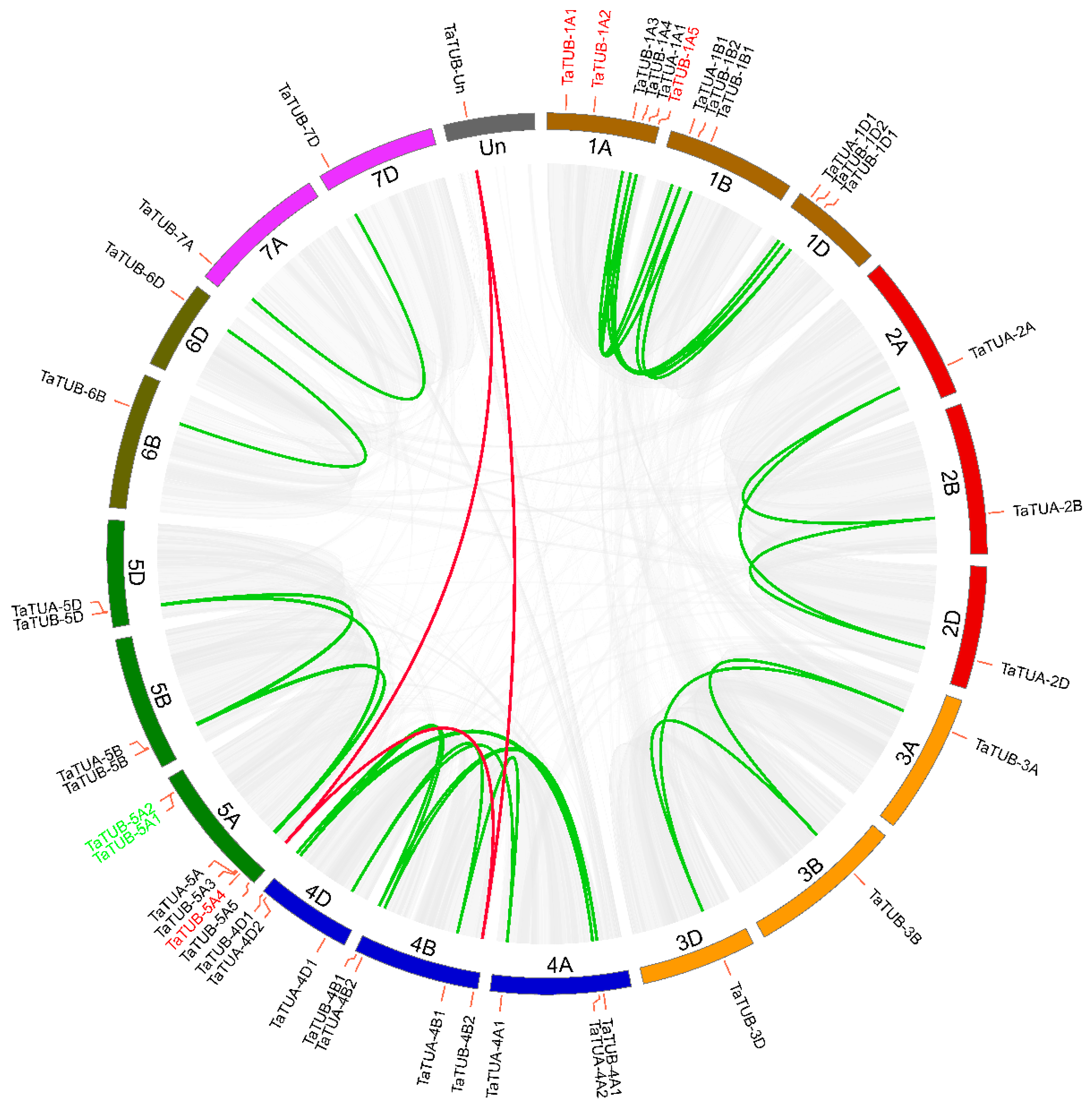 Plants 11 03495 g001