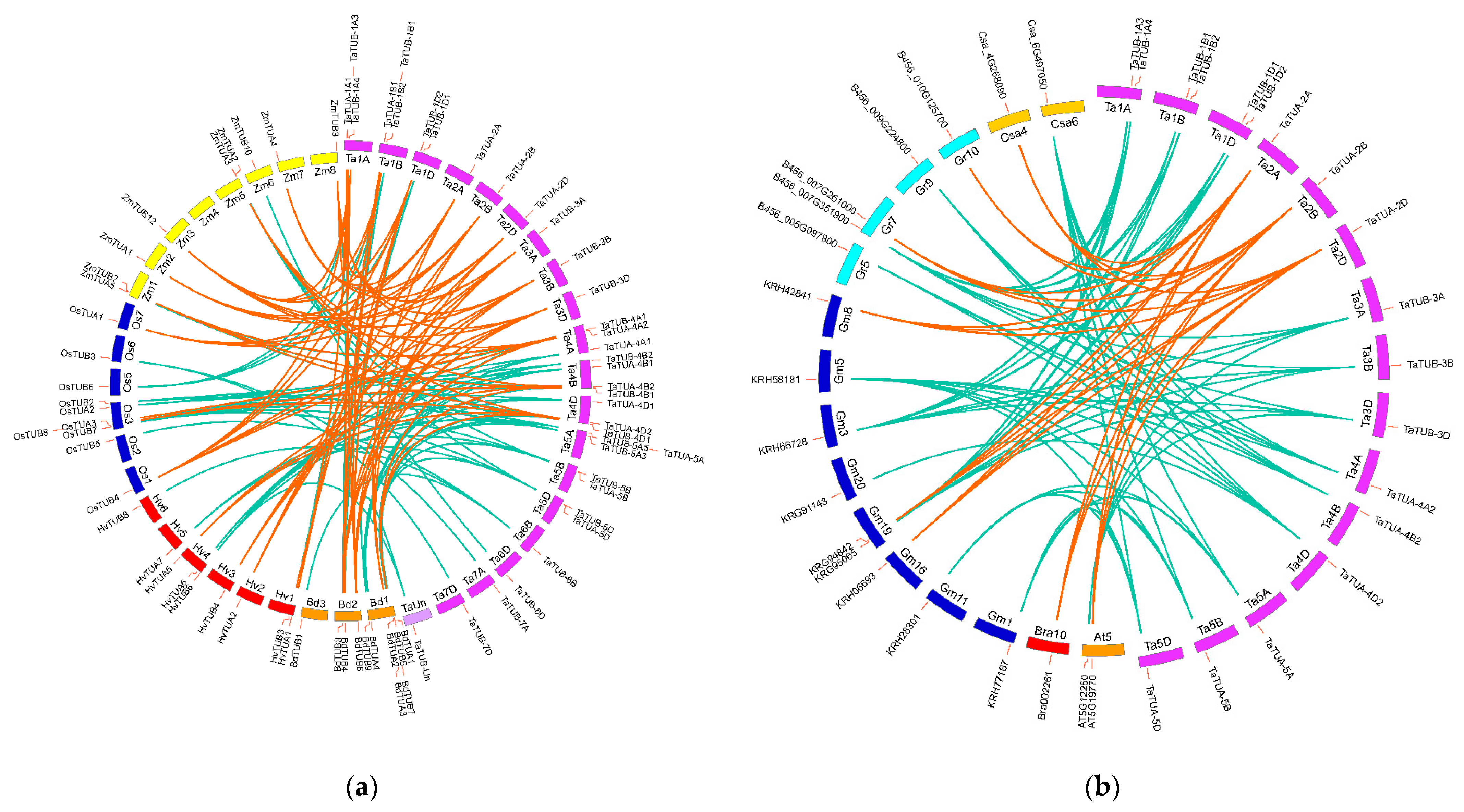 Plants 11 03495 g002
