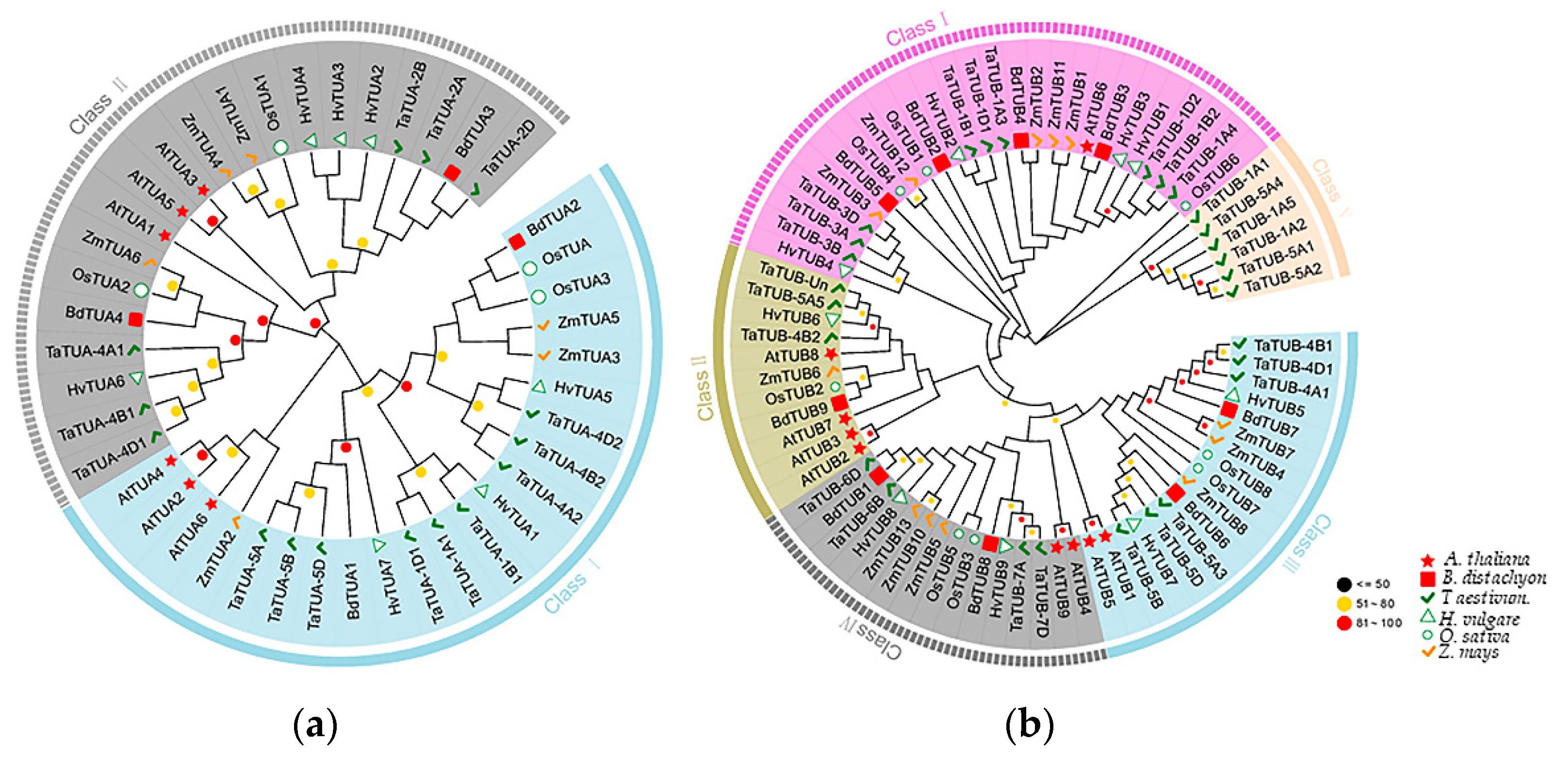 Plants 11 03495 g003