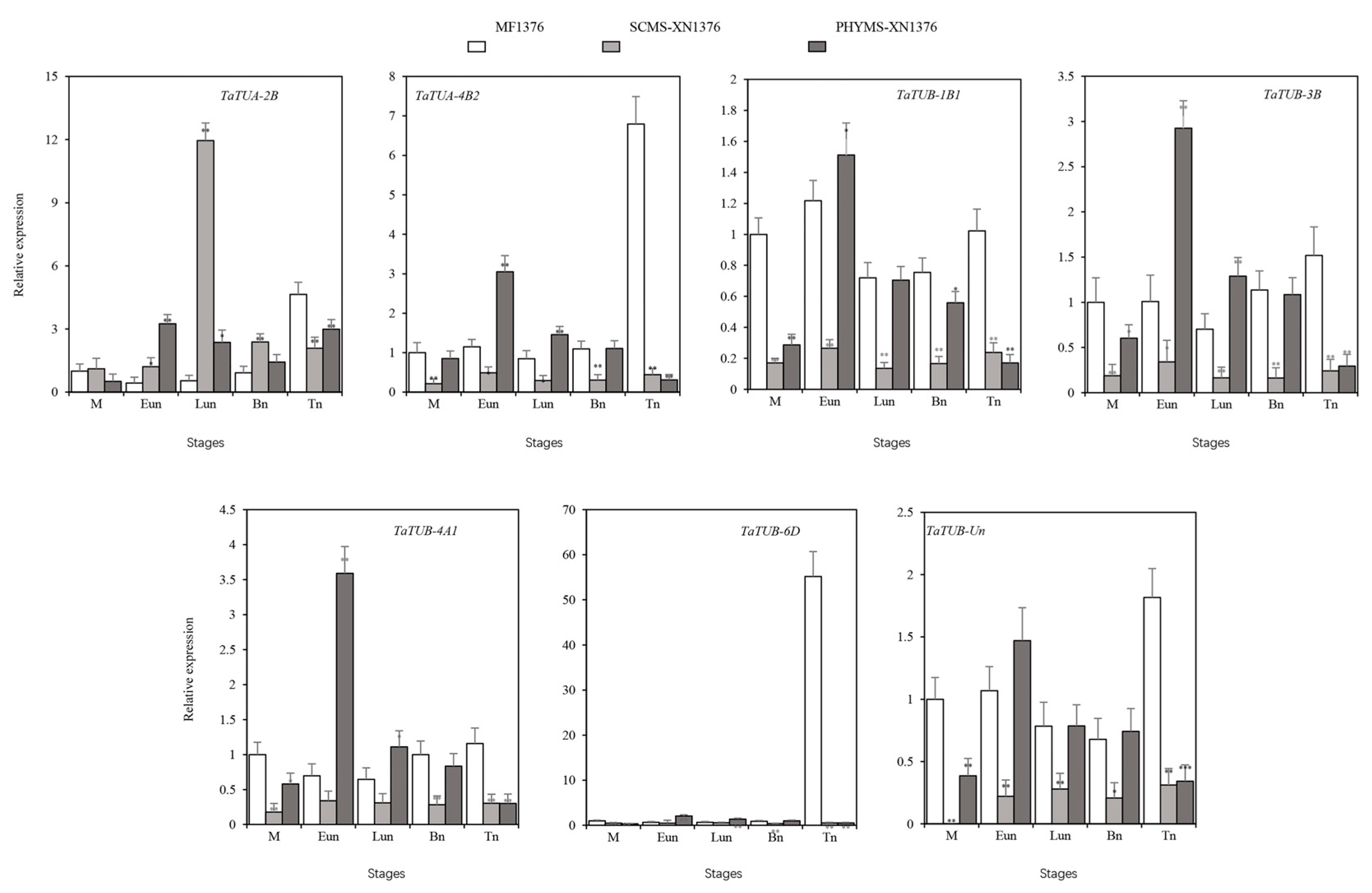 Plants 11 03495 g006