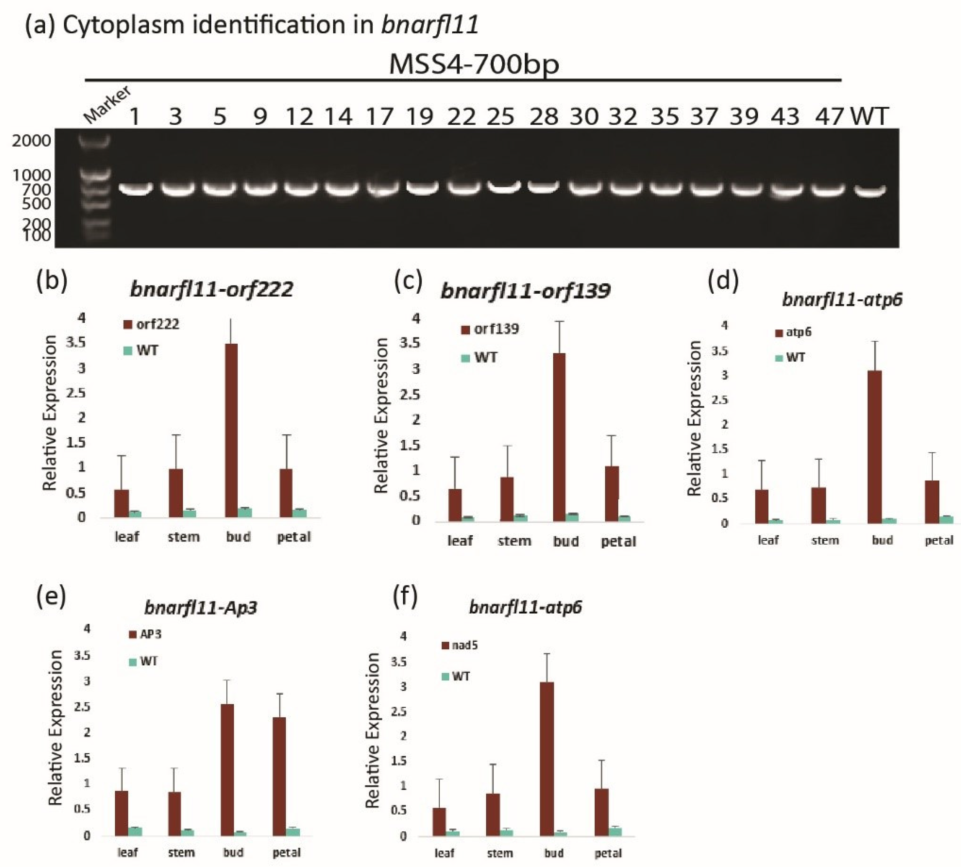 Plants 11 03501 g010
