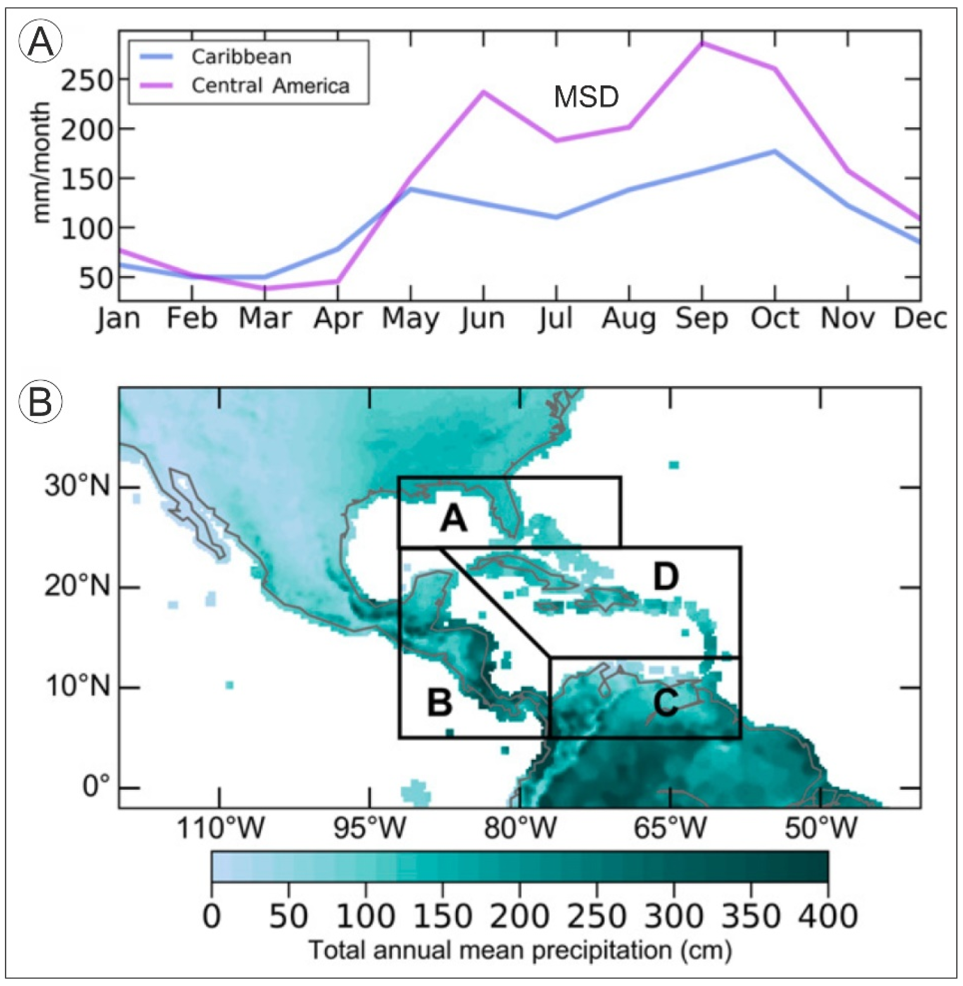 Plants 11 03502 g004