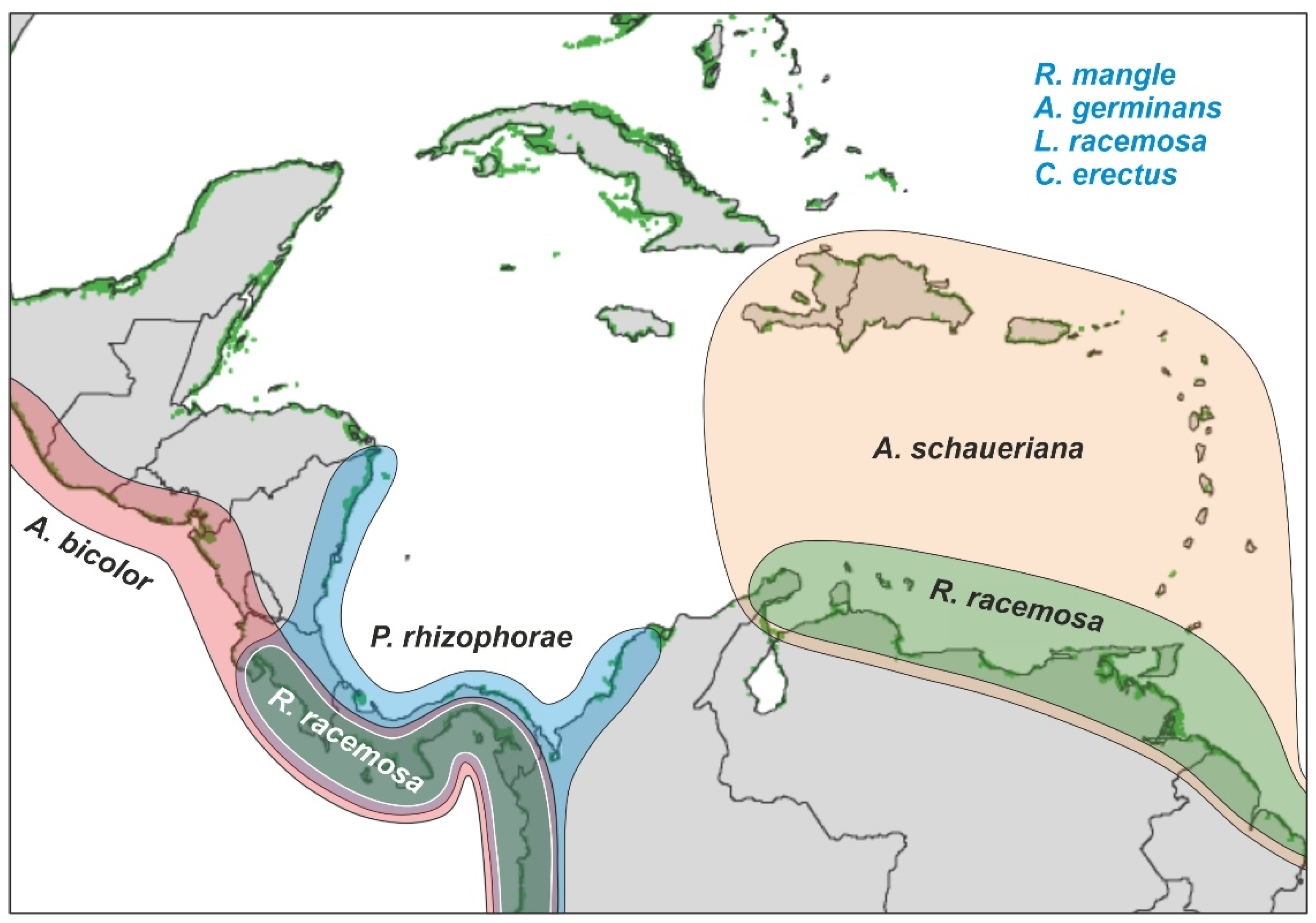 Plants 11 03502 g007