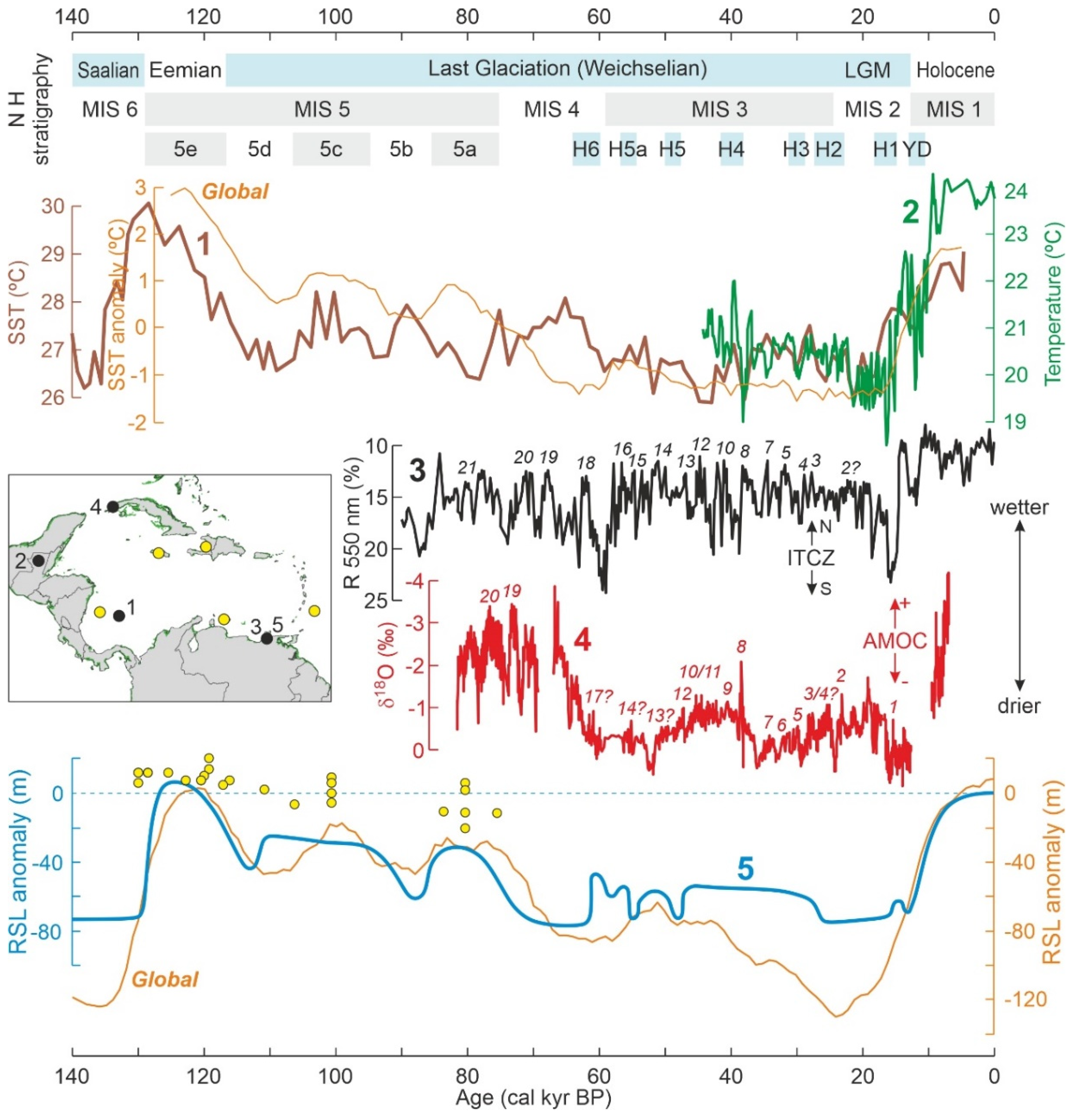 Plants 11 03502 g009