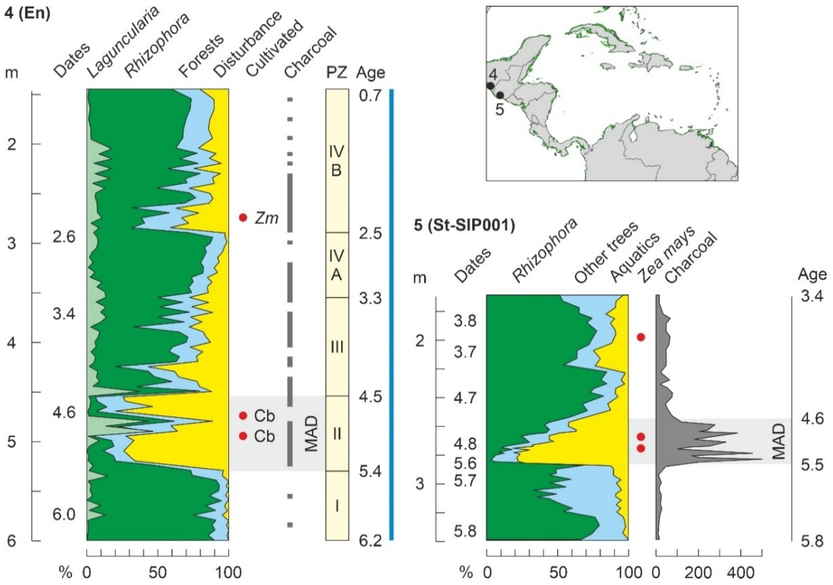 Plants 11 03502 g017