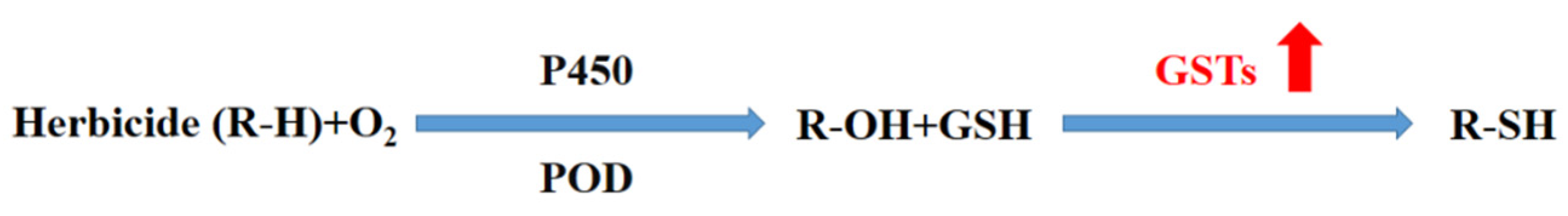 Plants 11 03509 g003