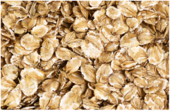 Plants 11 03519 i004